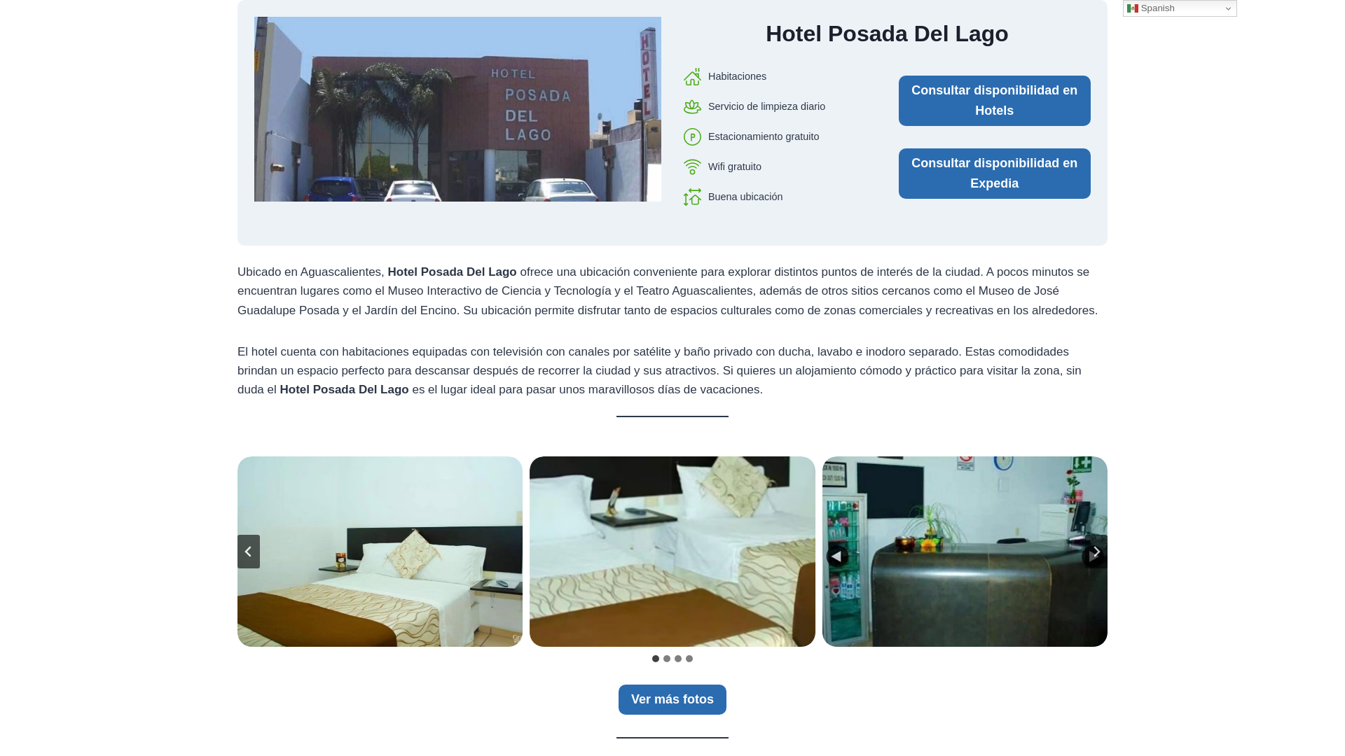 website screenshot of https://hotelposadadellago.top