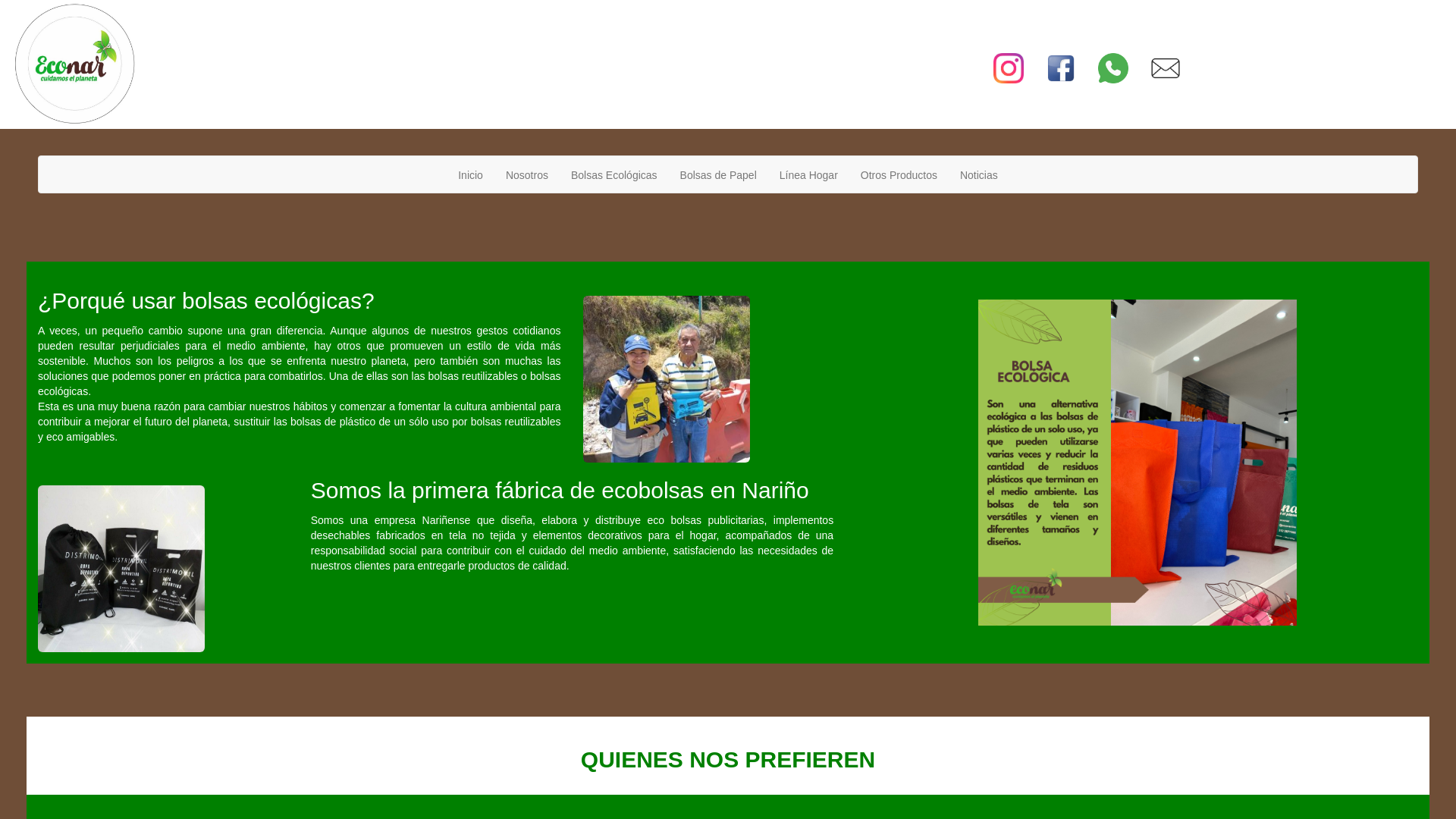 website screenshot of https://econarino.store/