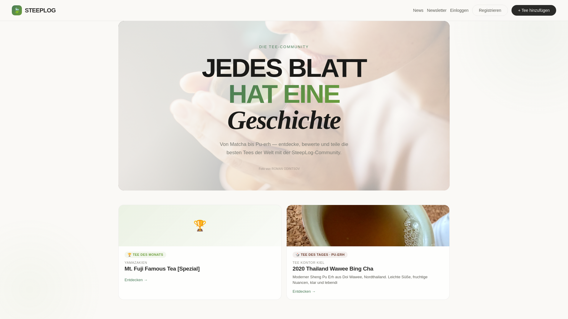 website screenshot of https://steeplog.de/