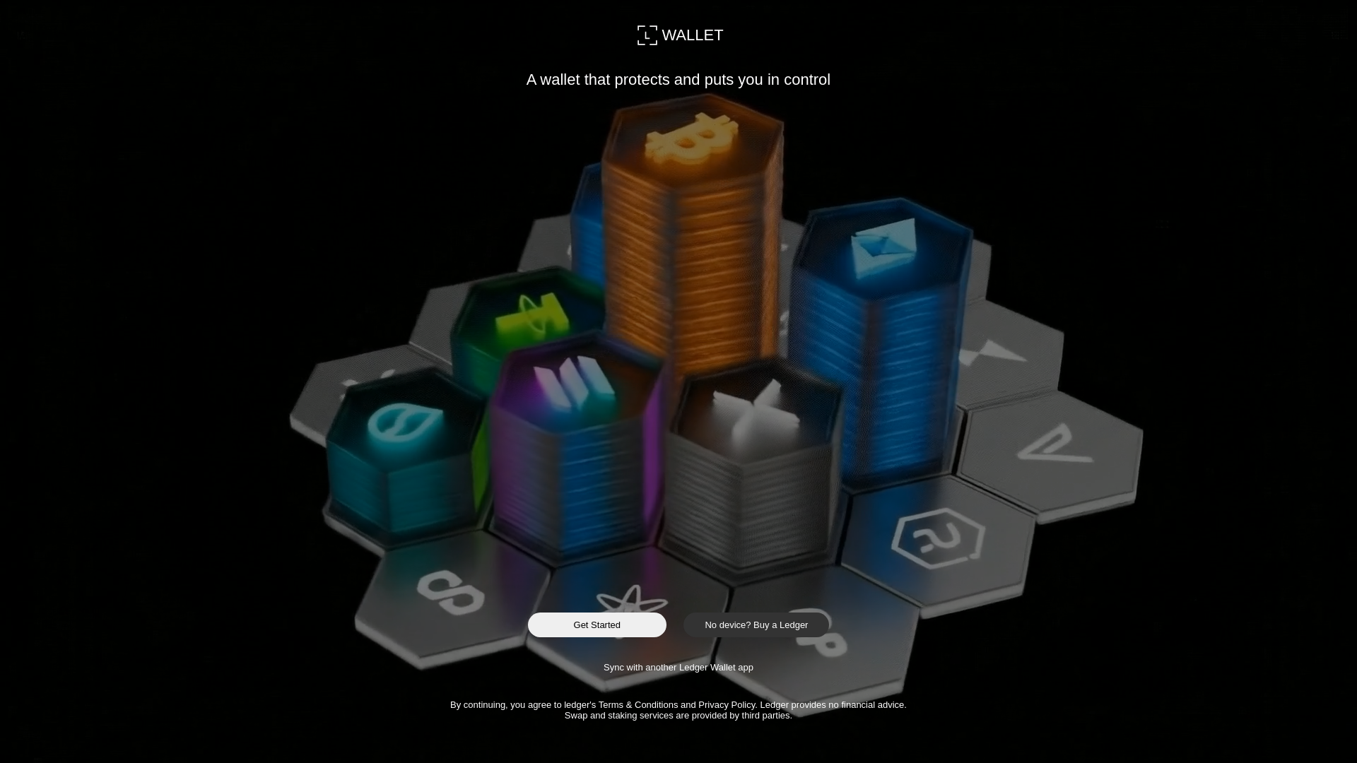 website screenshot of https://ledger.updatesetup.com/