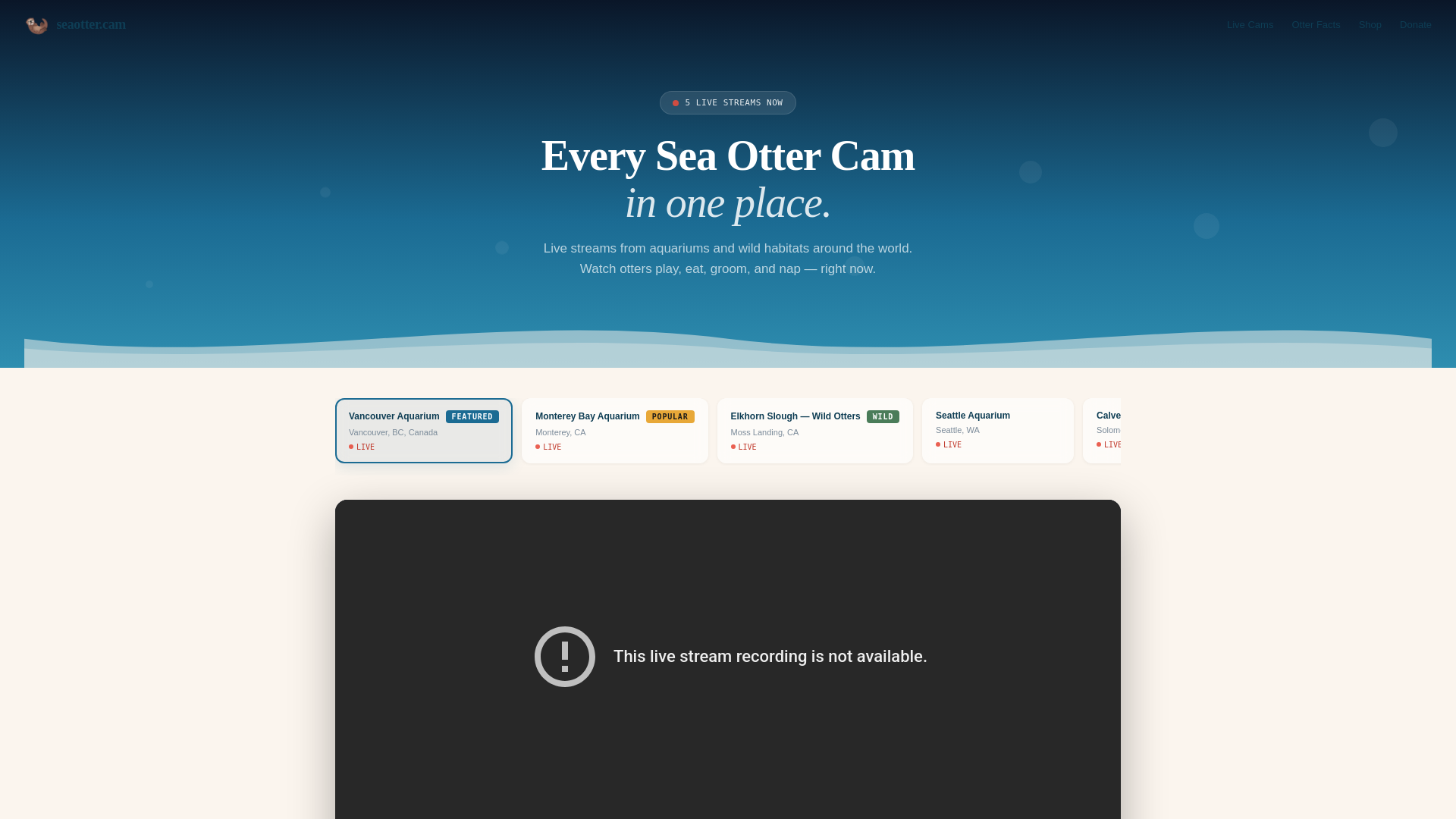 website screenshot of https://seaotter.cam/
