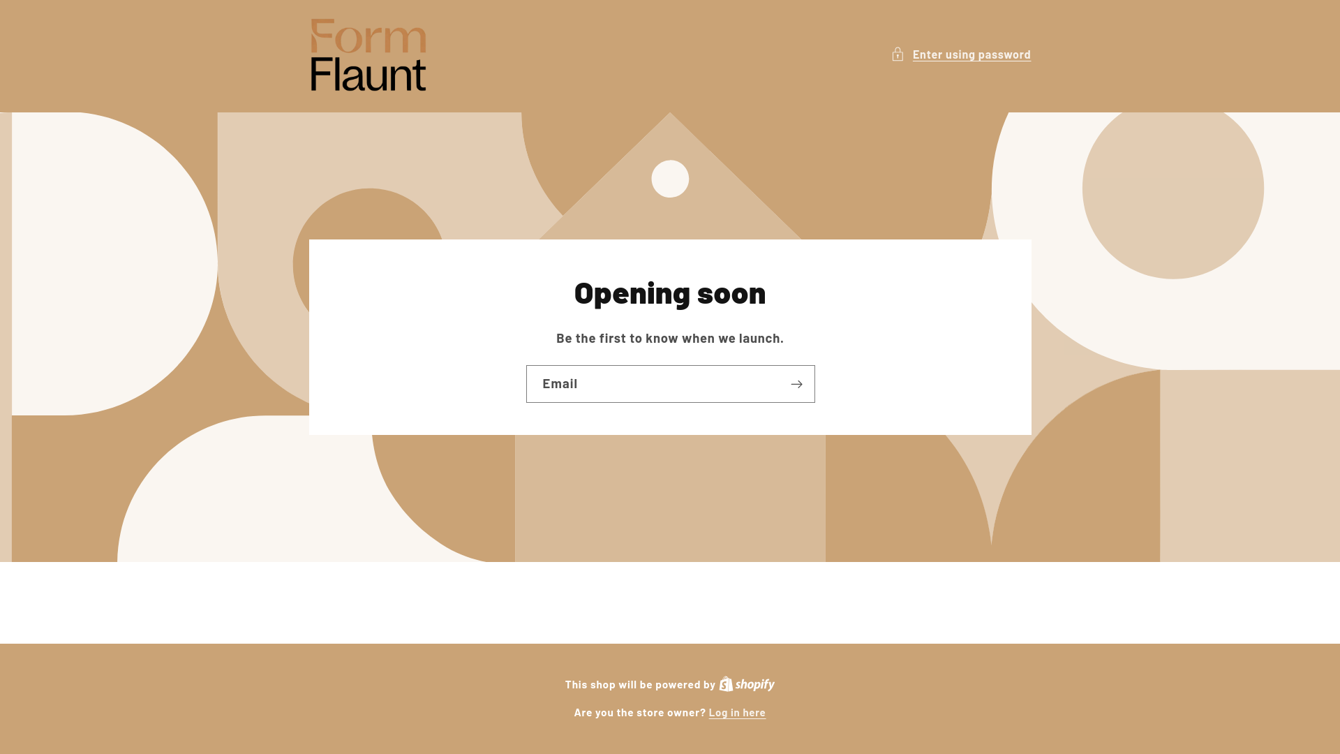 website screenshot of https://formflaunt.shop/