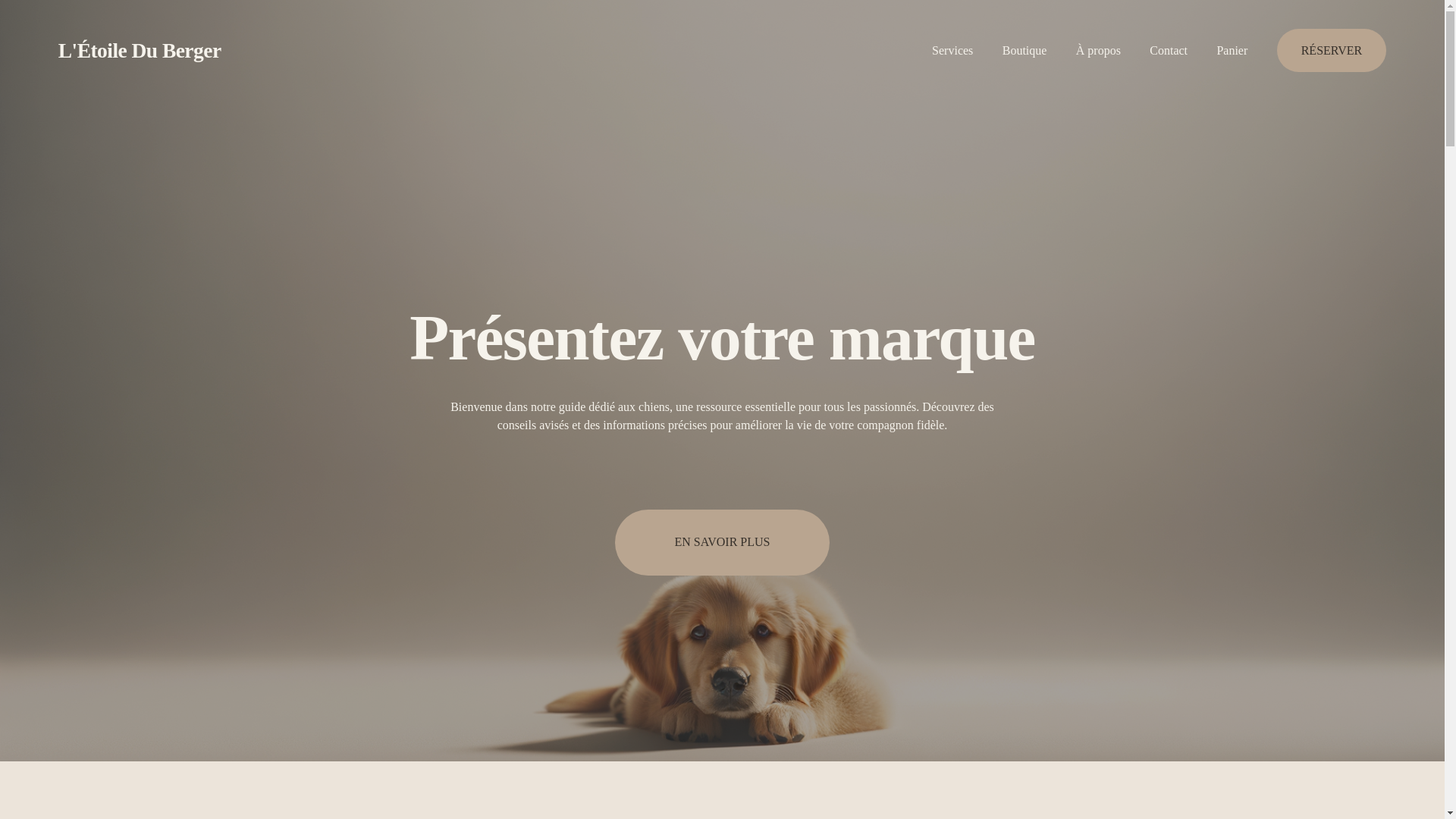 website screenshot of https://elevageetoileduberger.com/