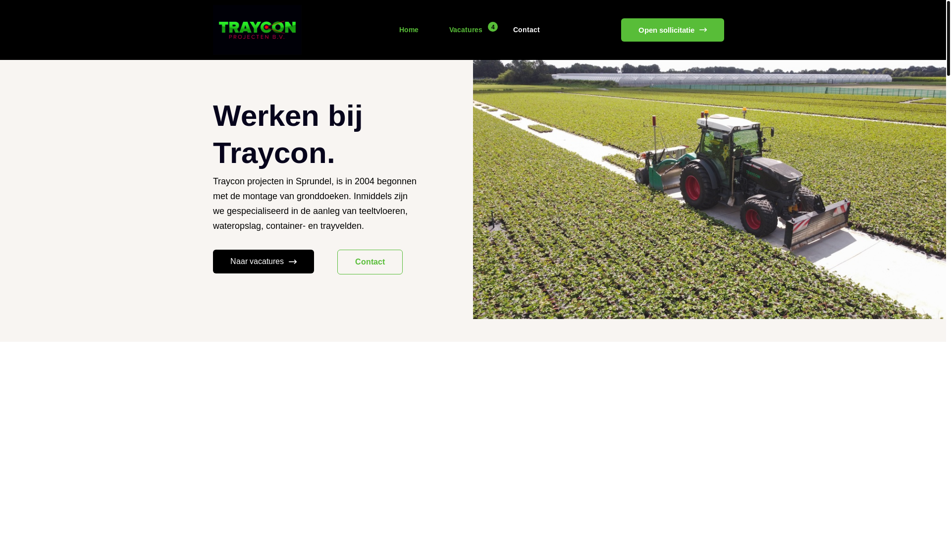 website screenshot of https://werkenbijremmerswaal.nl/
