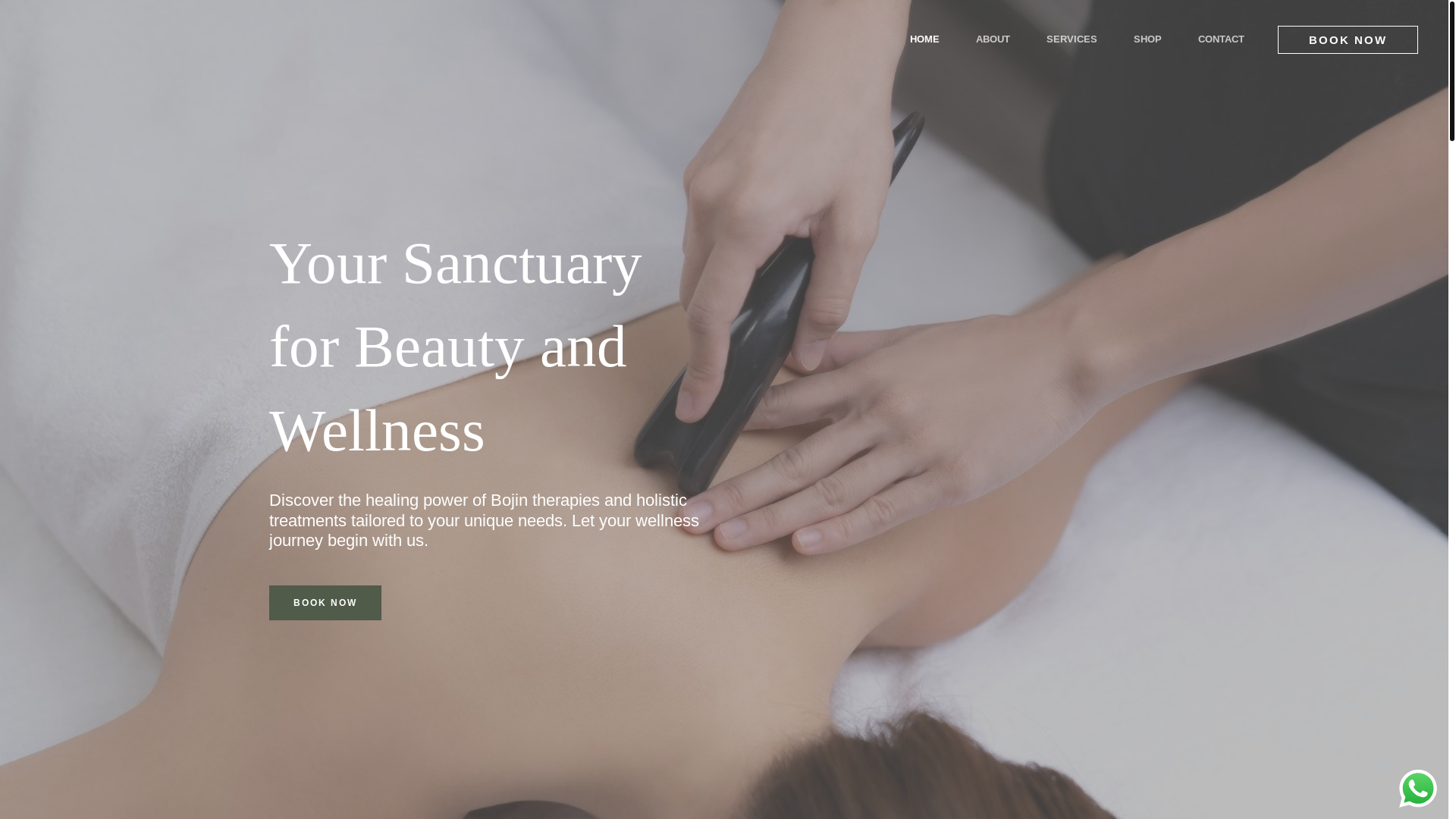 website screenshot of https://zenmeridian.com.sg/