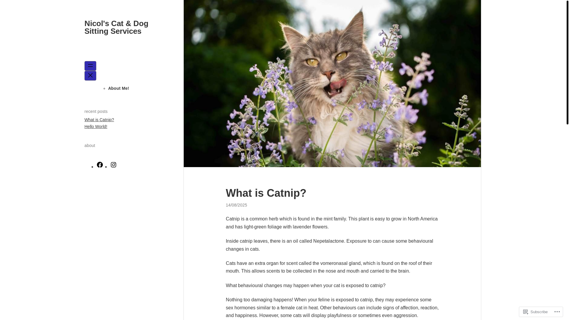 website screenshot of https://nicolscatsdogs.blog/