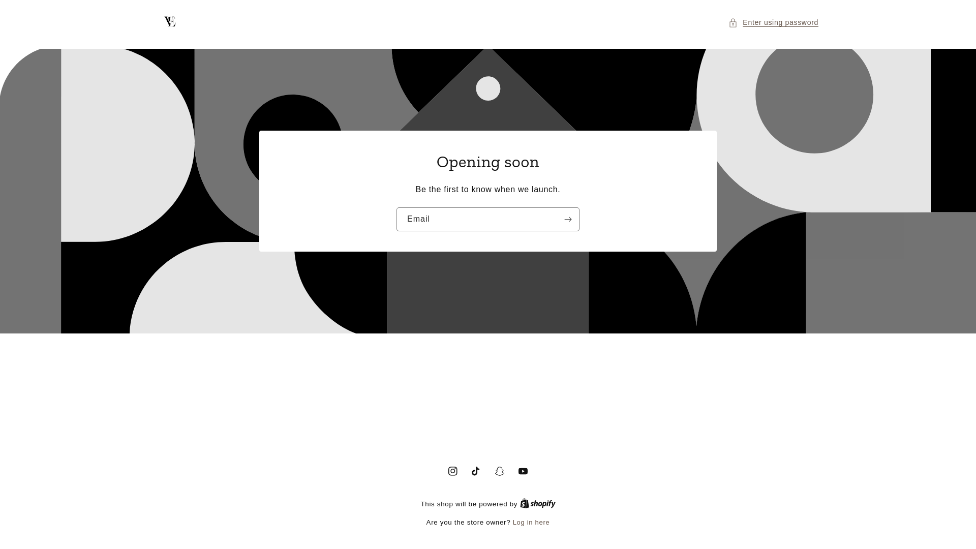 website screenshot of https://vellerostudio.store/