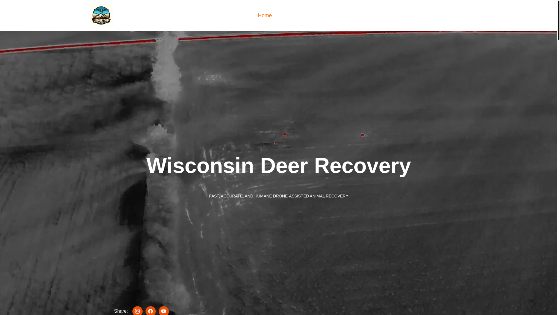 website screenshot of https://wisconsindeerrecovery.pages.dev/