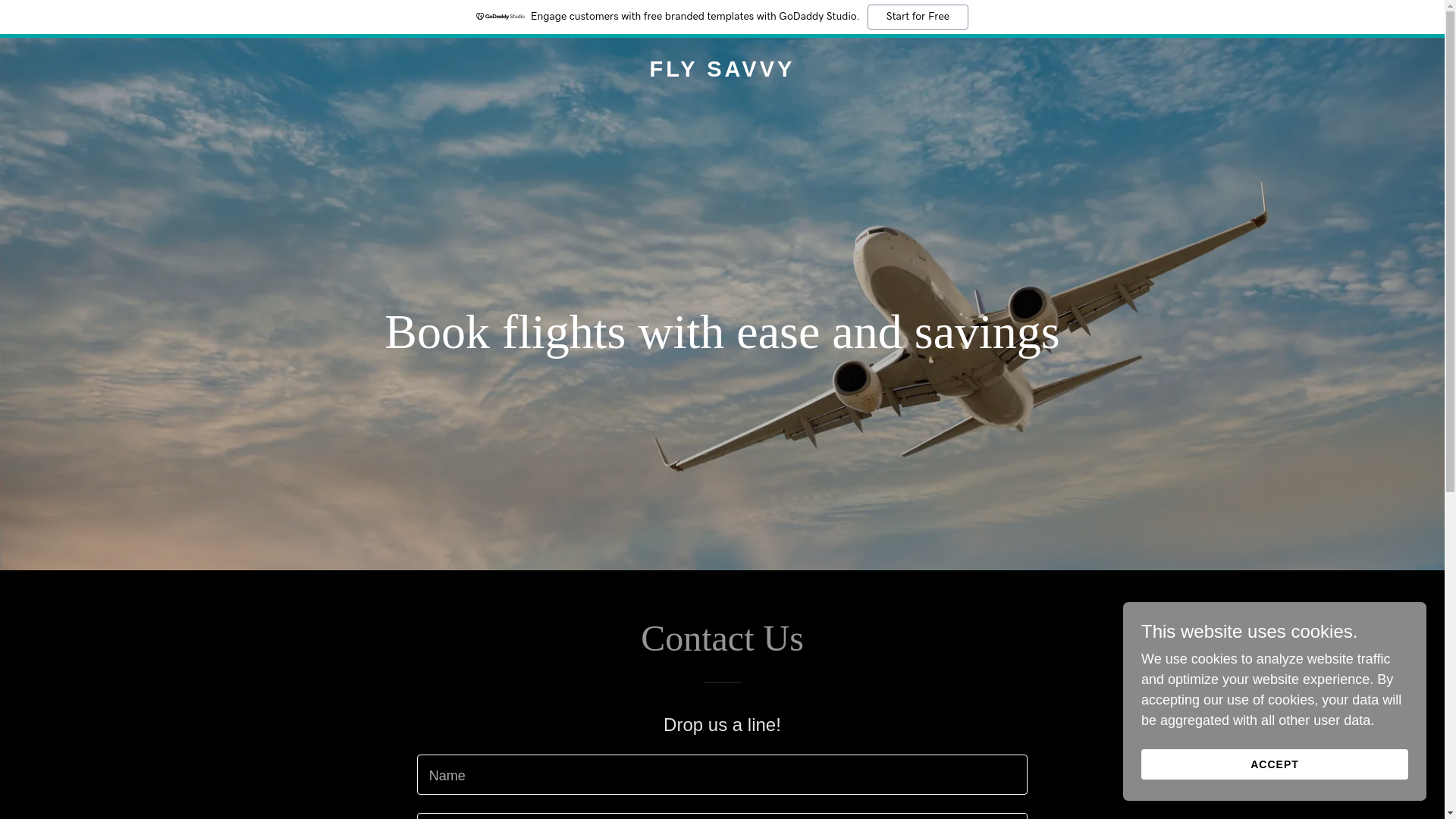 website screenshot of https://flysavvy.com.au/
