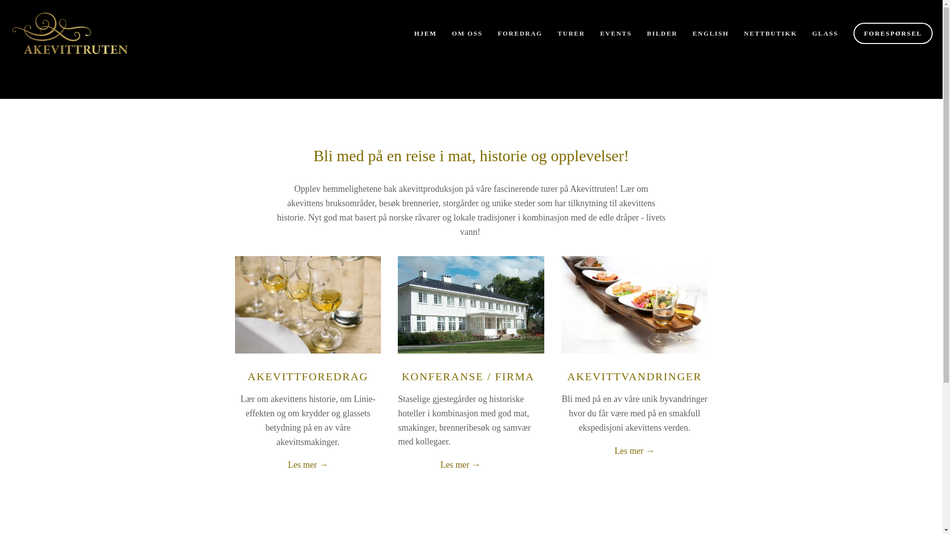 website screenshot of https://osloakevittfestival.no/