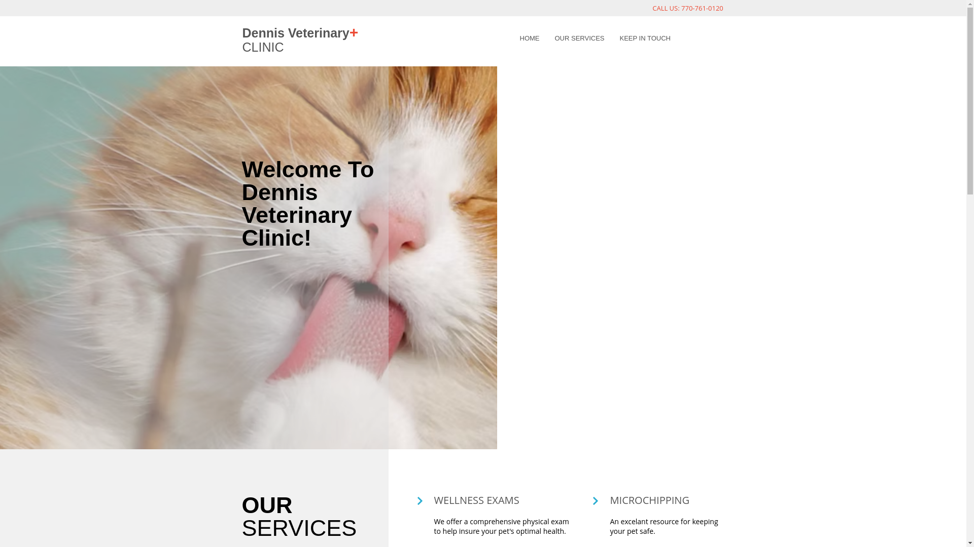 website screenshot of https://dennisvetclinic.net/
