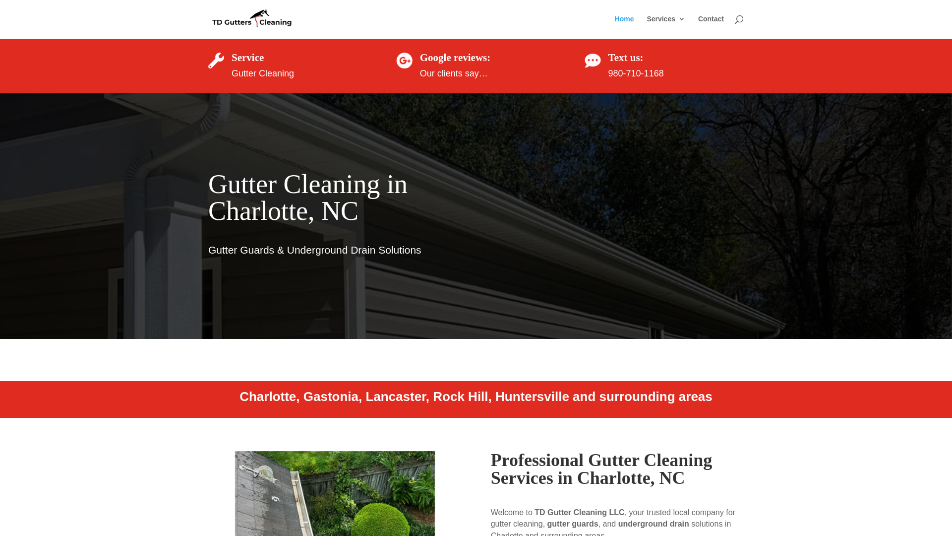 website screenshot of https://tdgutters.com/