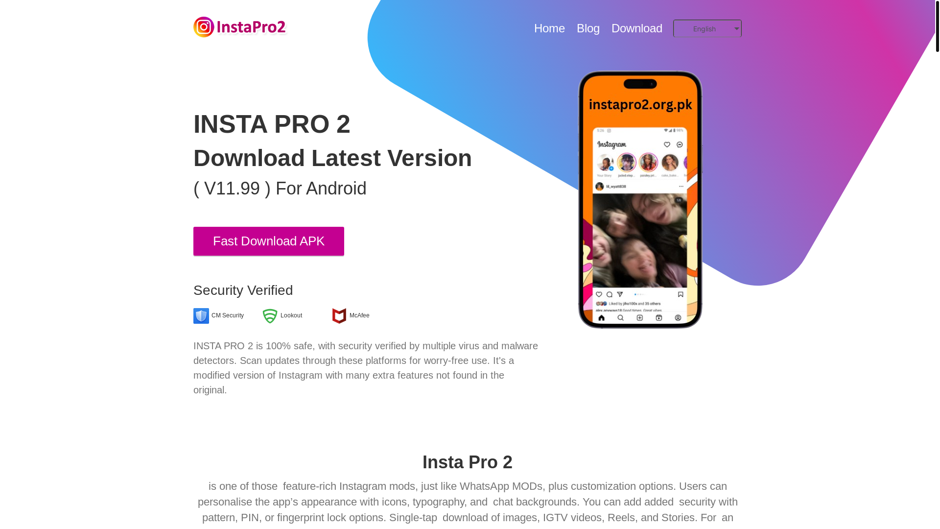 website screenshot of https://instapro2.org.pk/