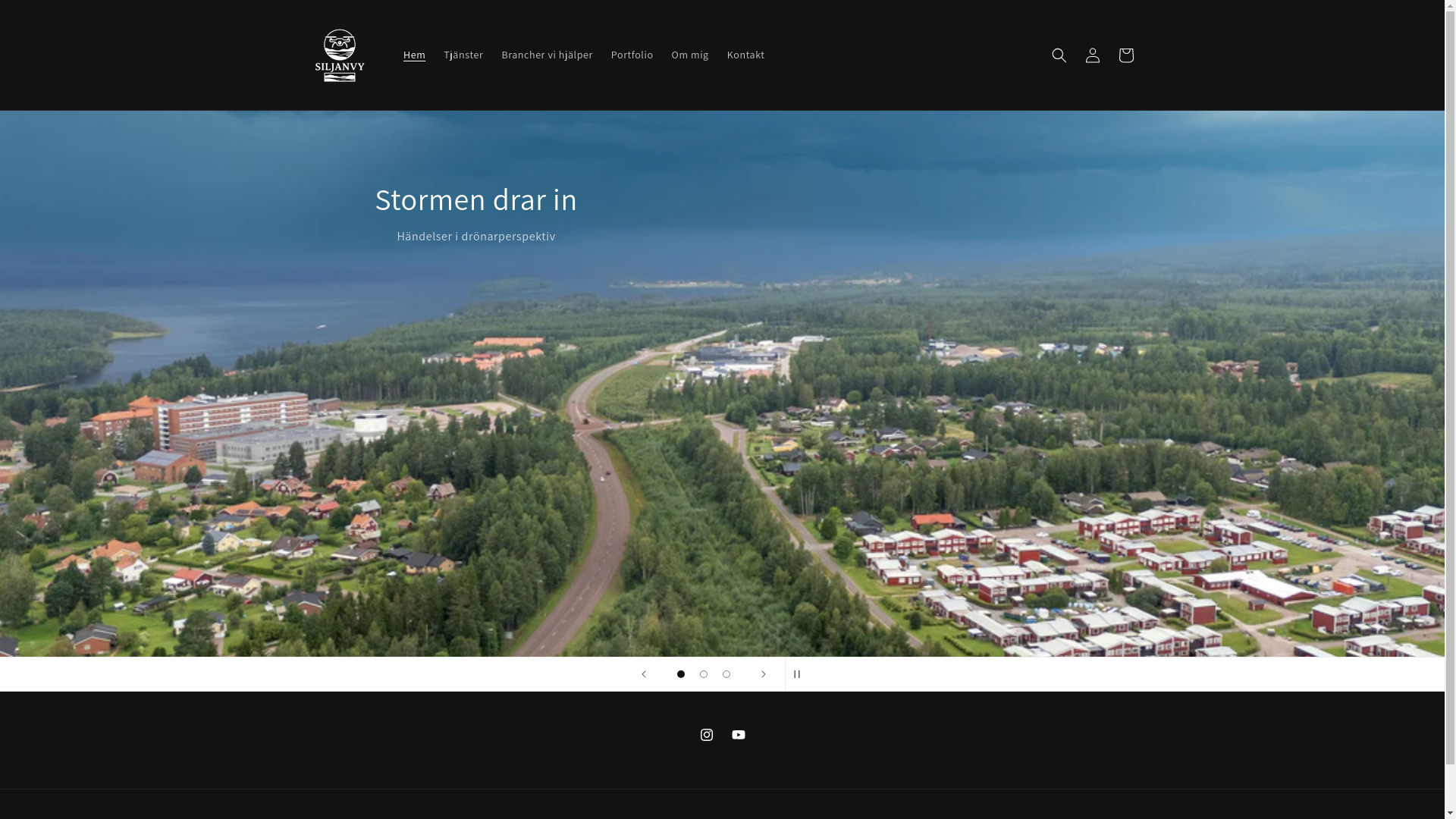 website screenshot of https://siljanvy.se/