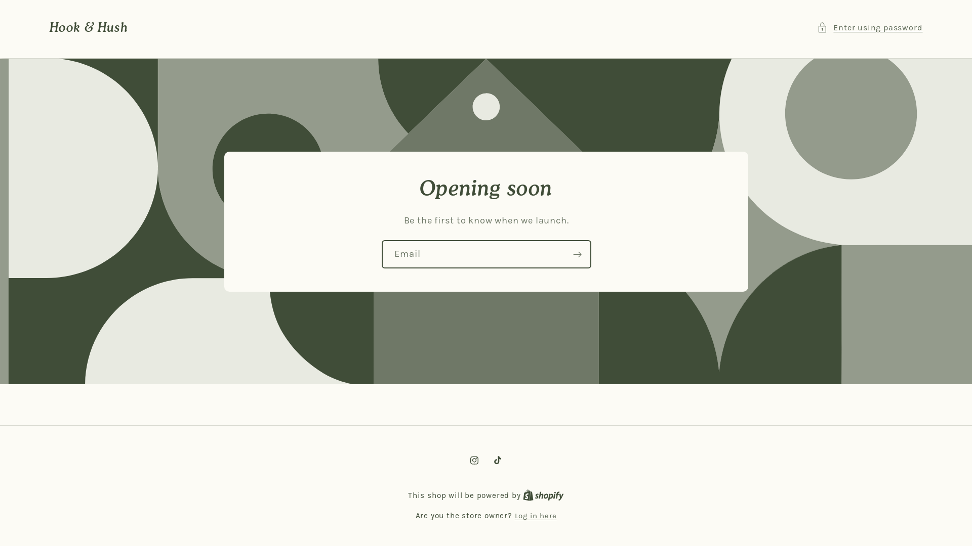 website screenshot of https://hookandhushstore.com/