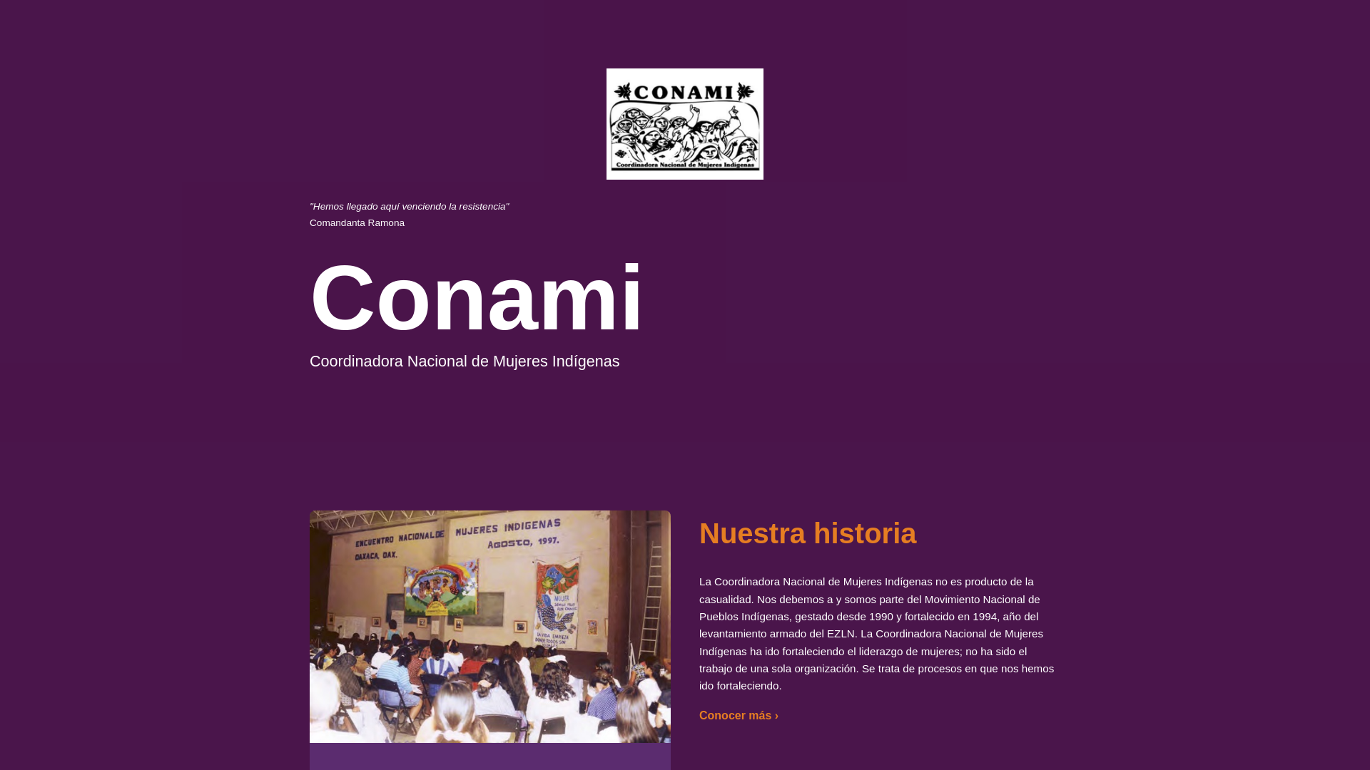 website screenshot of https://conami.mx/