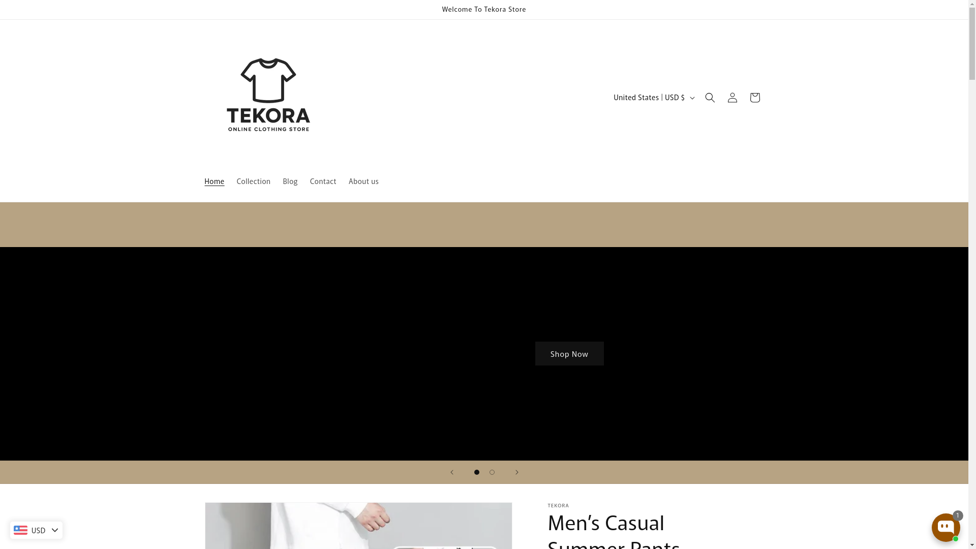 website screenshot of https://tekoraa.com/