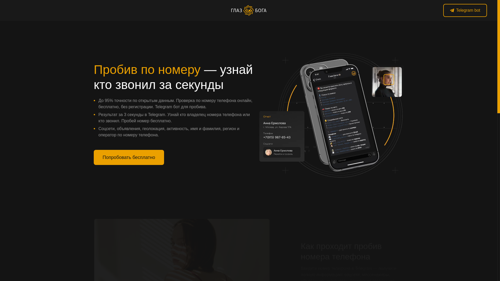 website screenshot of https://nomertelefona.pro/