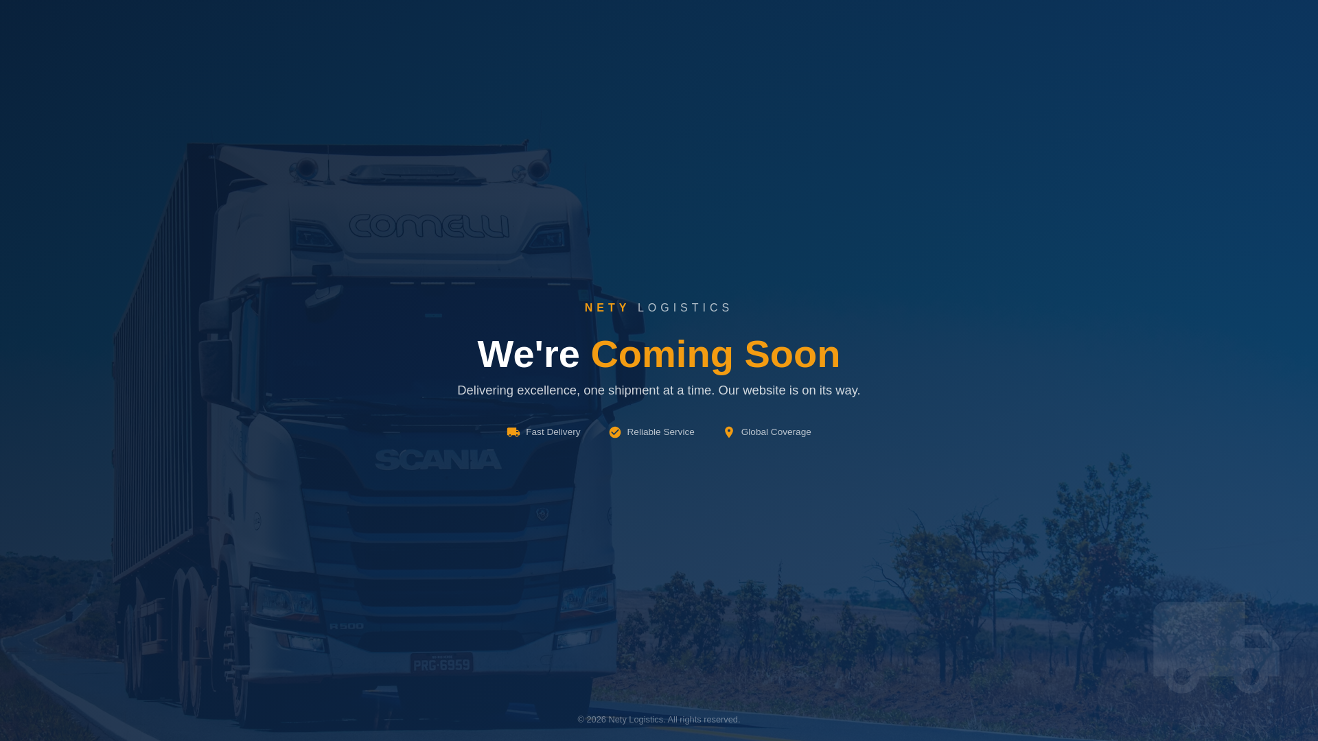 website screenshot of https://netylogistics.co.tz/