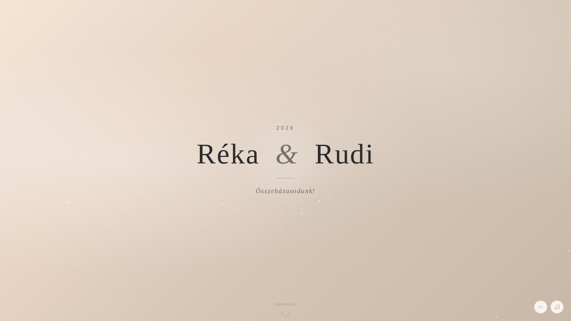 website screenshot of https://rekaesrudi.hu/