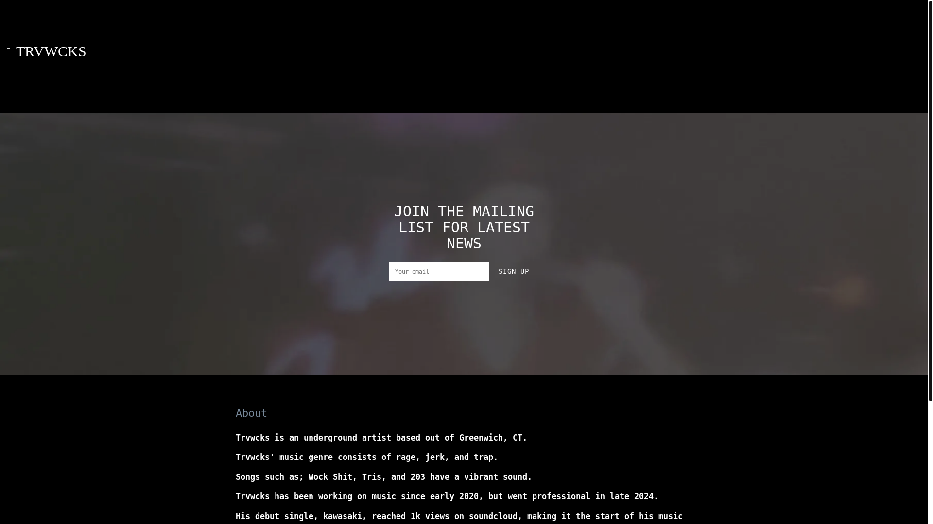 website screenshot of https://trvwcks.com/