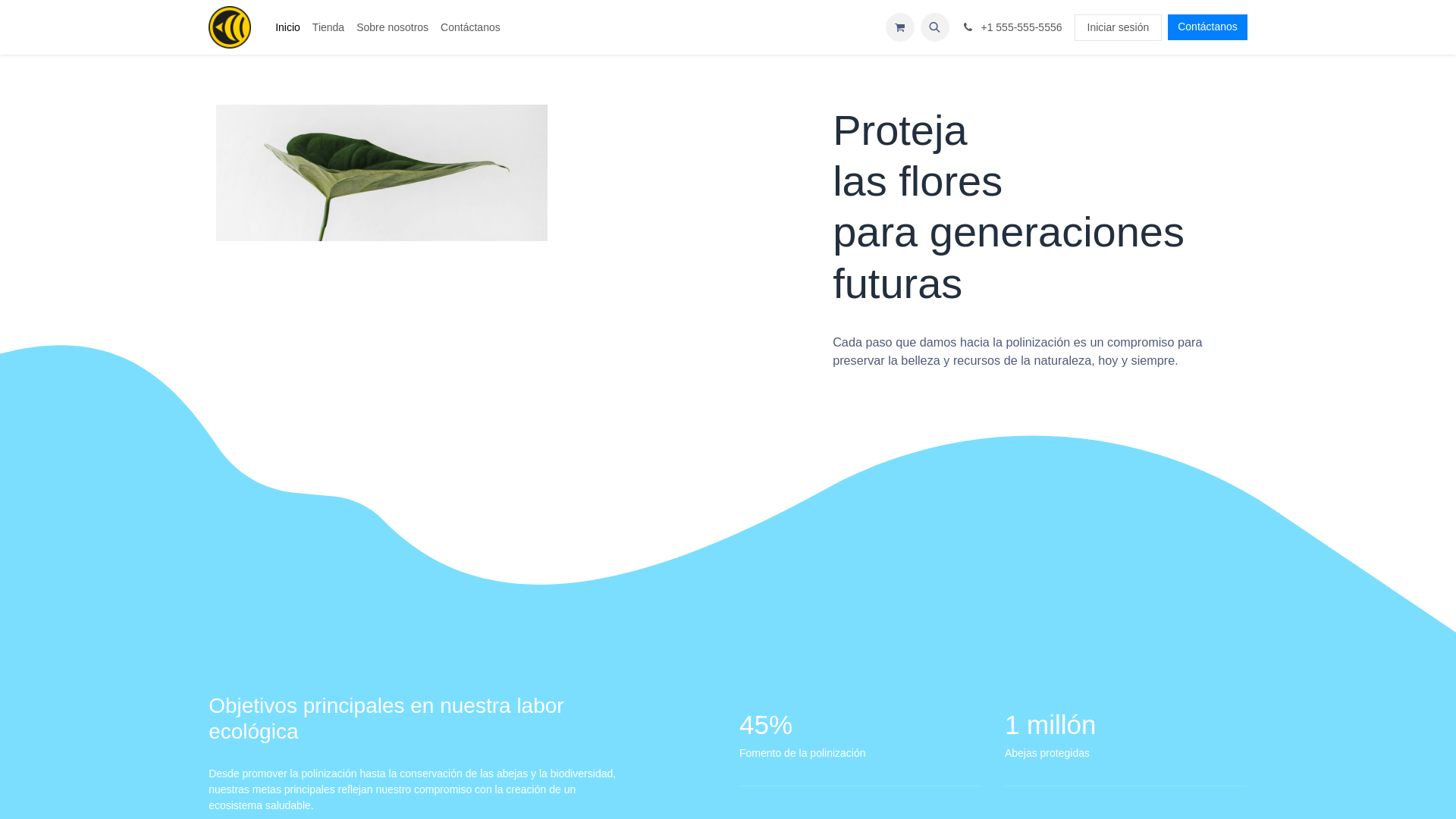 website screenshot of https://polinizaciones.pe