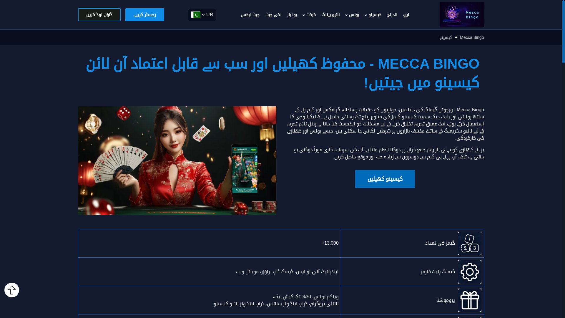 website screenshot of https://pk-meccabingo.com/