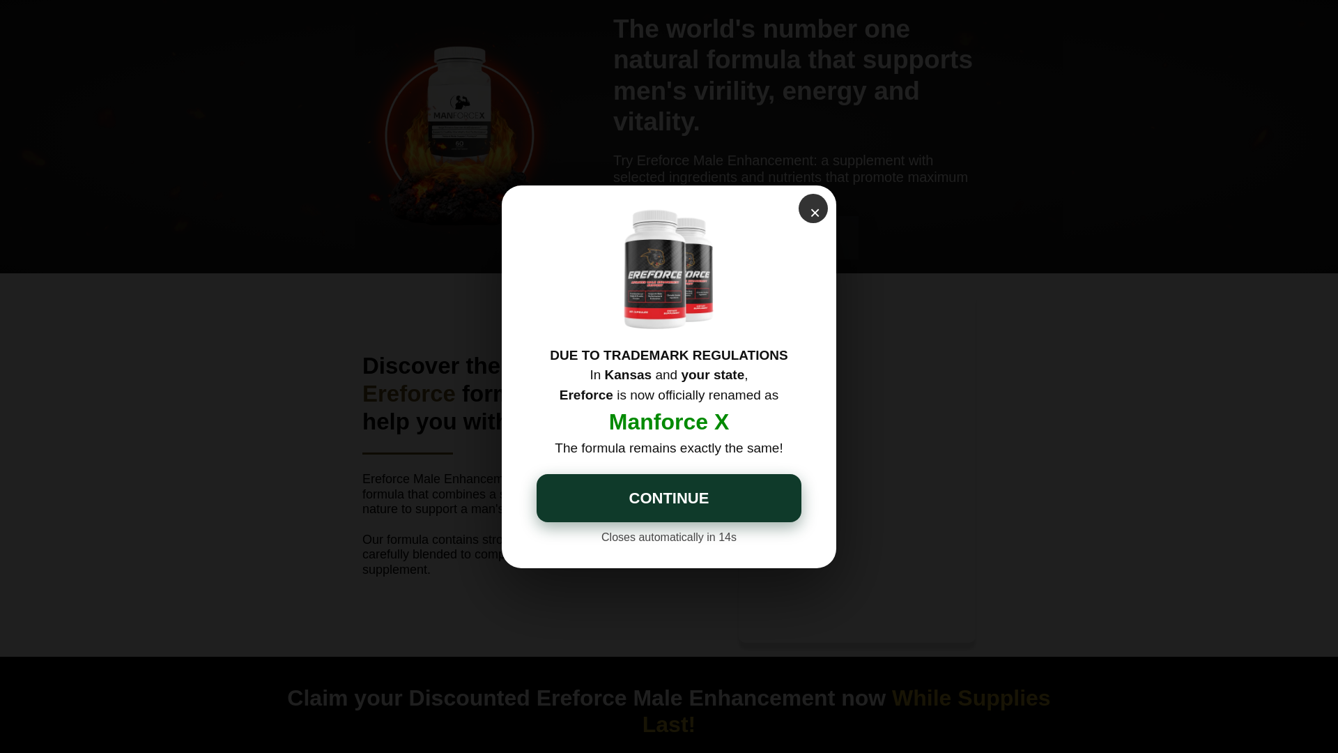 website screenshot of https://buyereforce.com/