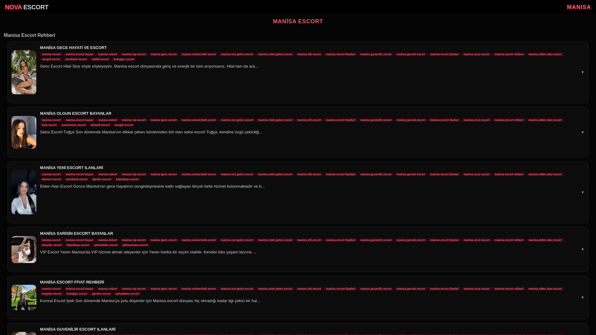 website screenshot of https://manisateknoloji.com/