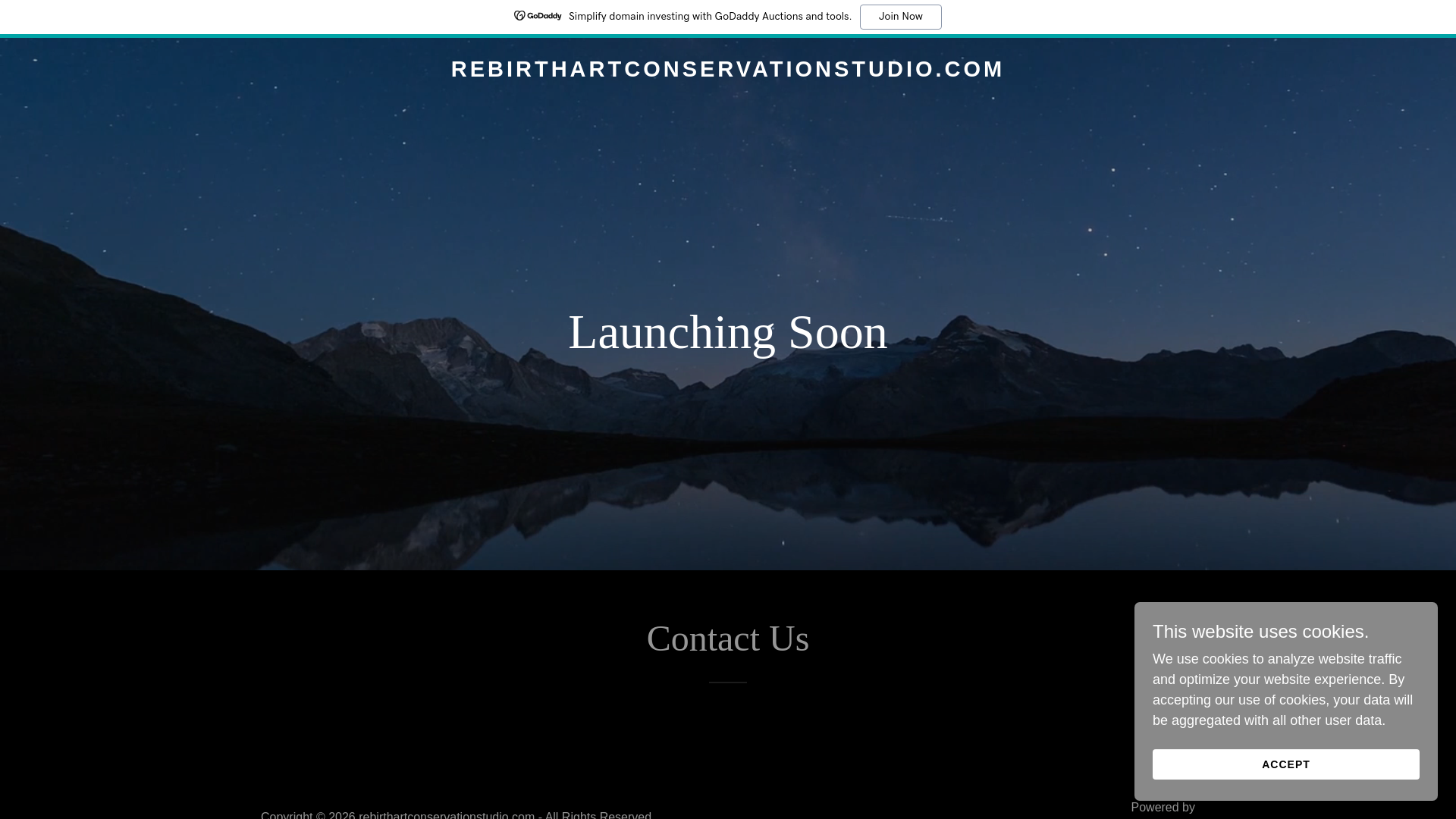 website screenshot of https://rebirthartconservationstudio.com/