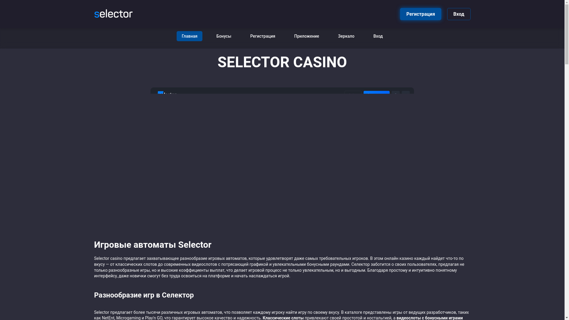 website screenshot of https://selector118.buzz/