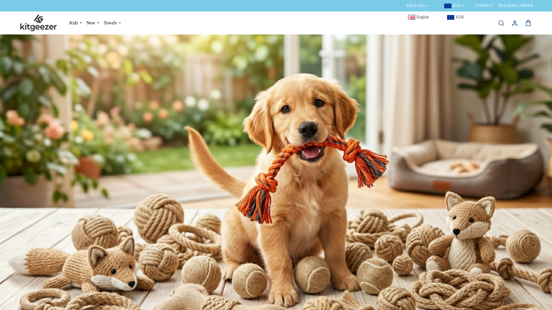 website screenshot of https://titanfootballs.com