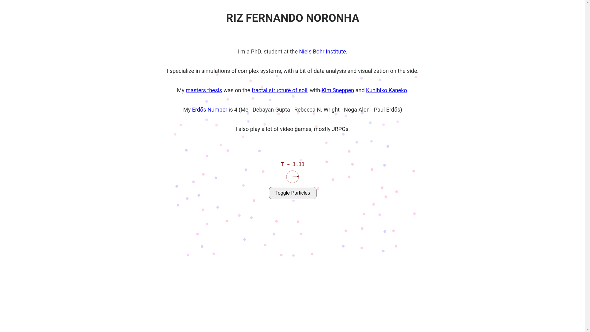 website screenshot of https://rizfn-com.pages.dev/