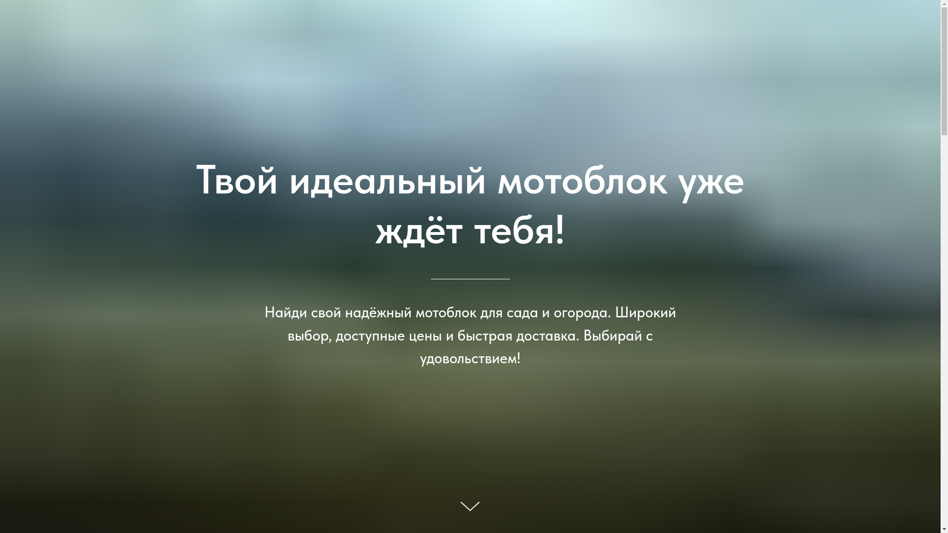 website screenshot of https://techgarden.by/