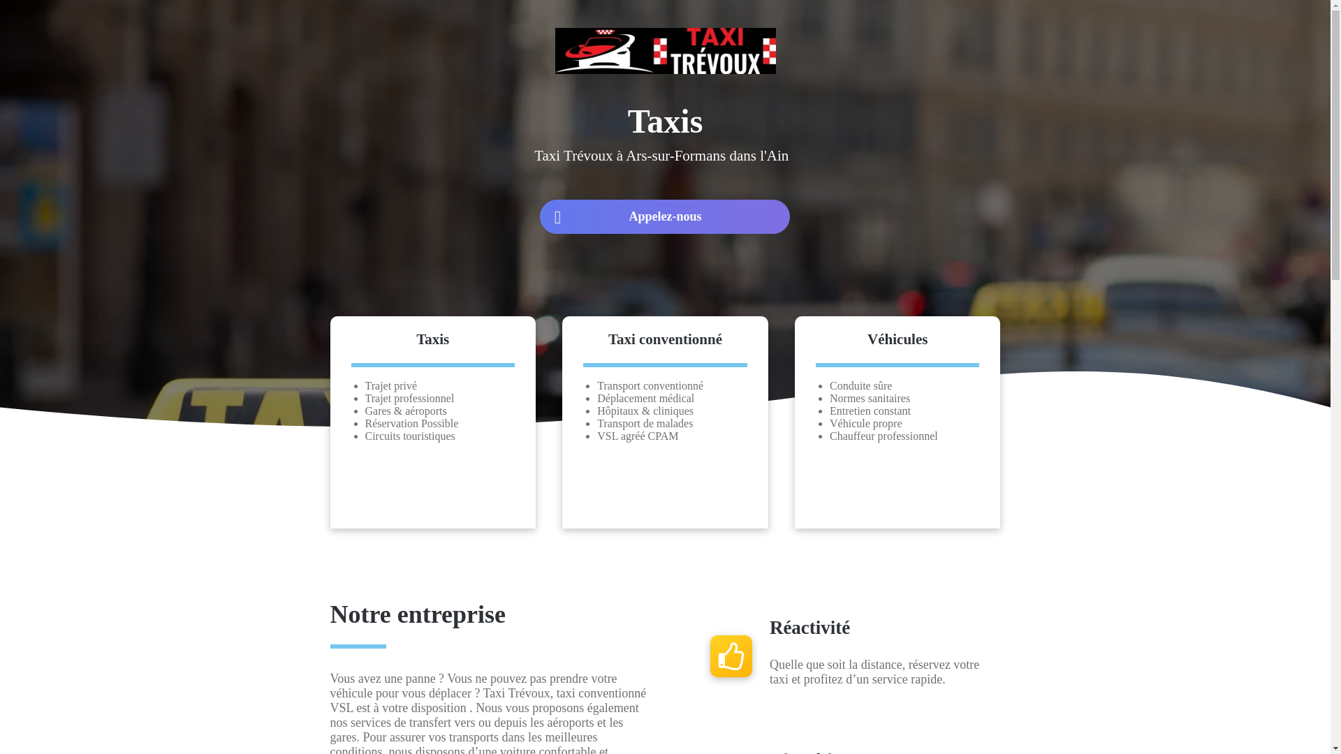 website screenshot of https://taxi-trevoux-lpc.fr/