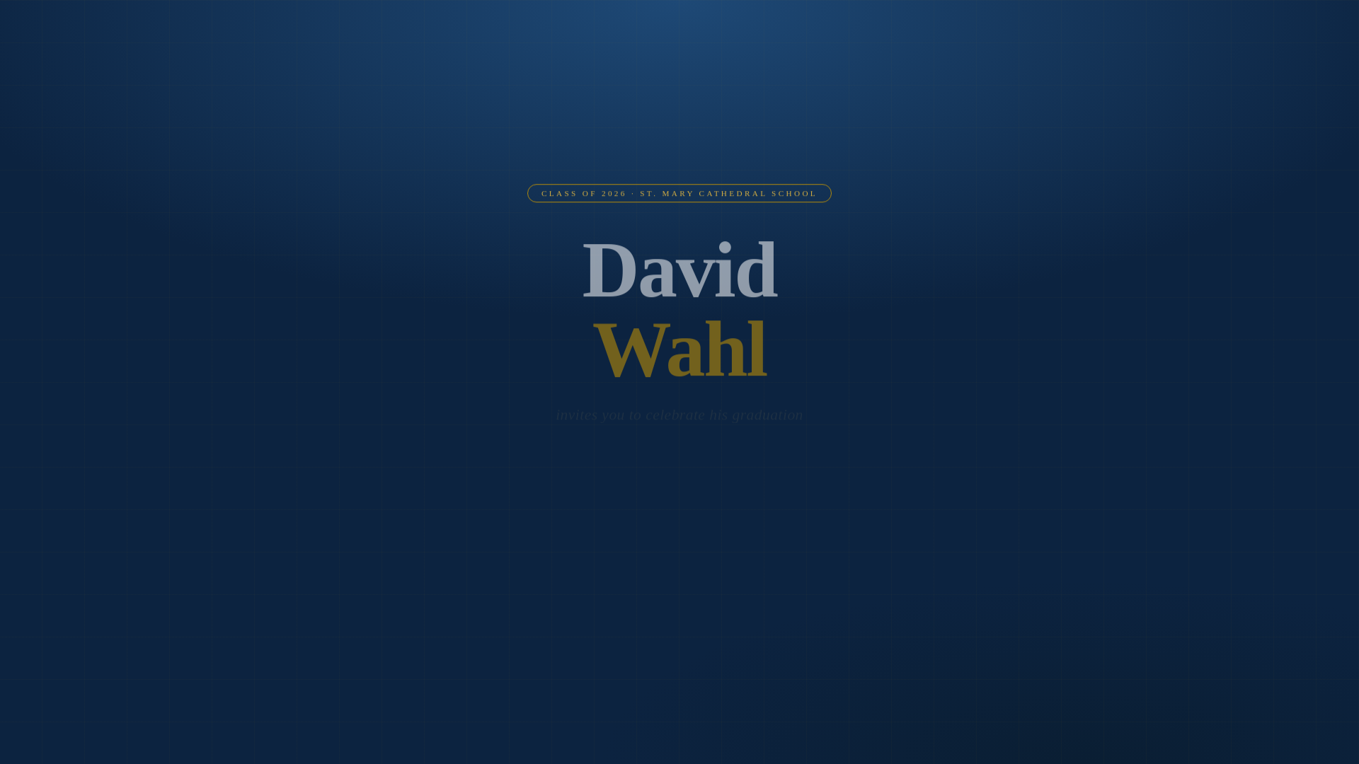 website screenshot of https://grad-party-landing.pages.dev/