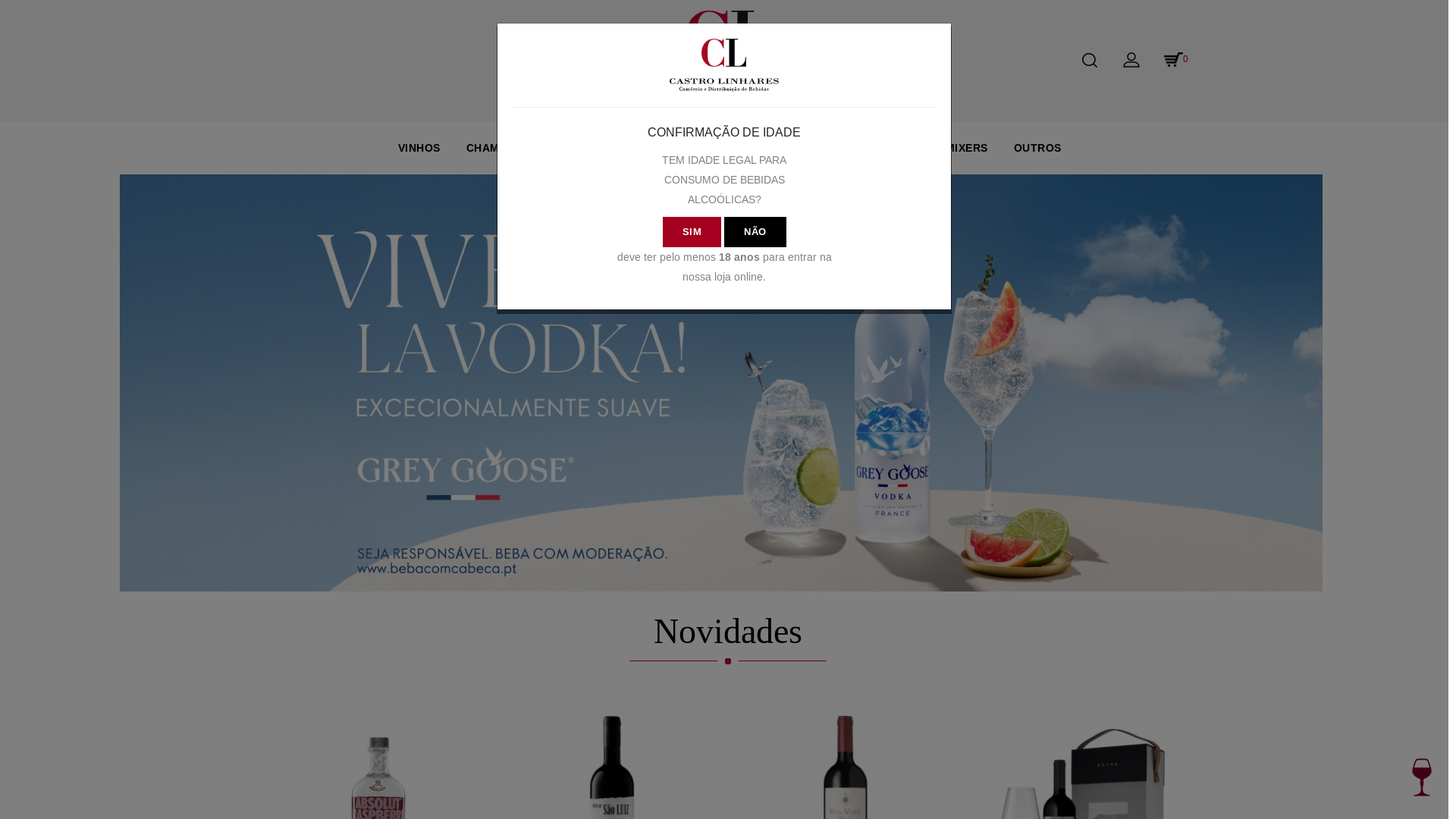 website screenshot of http://www.castroelinhares.pt/