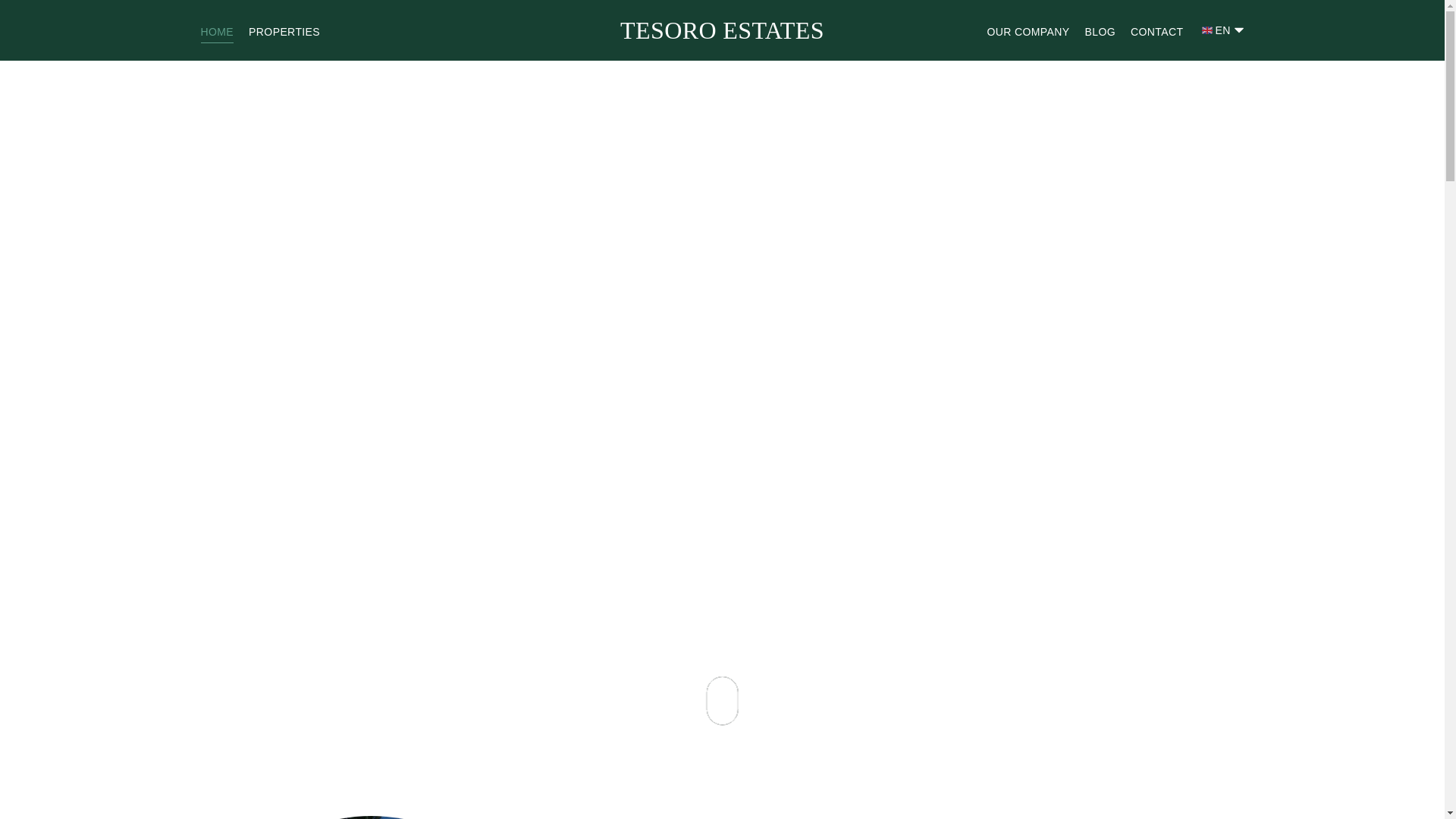 website screenshot of https://tesoro-estates.pages.dev/