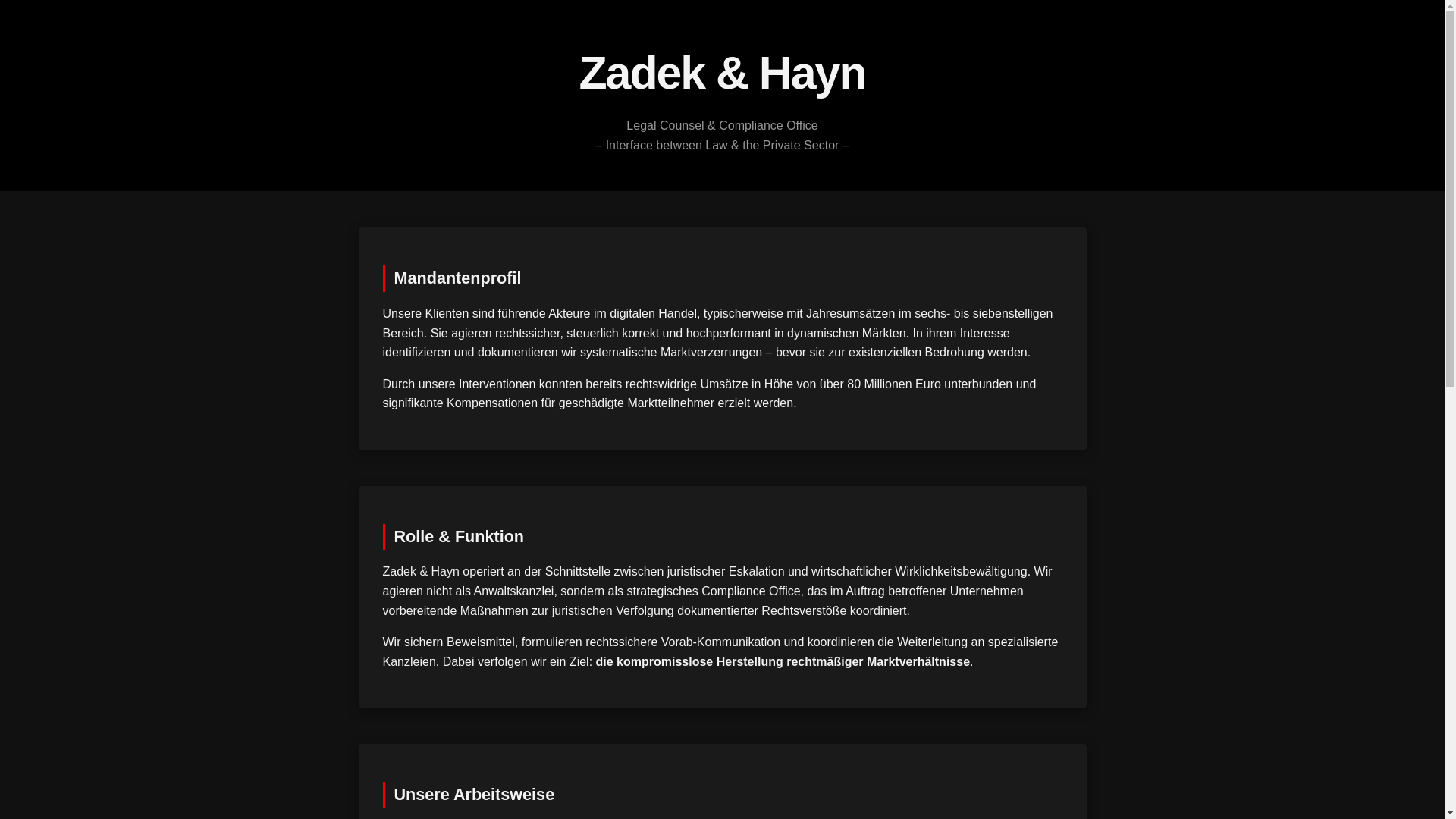 website screenshot of https://zadekhayn.com/