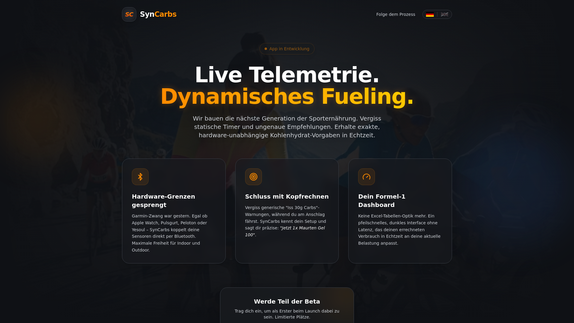 website screenshot of https://syncarbs.de/