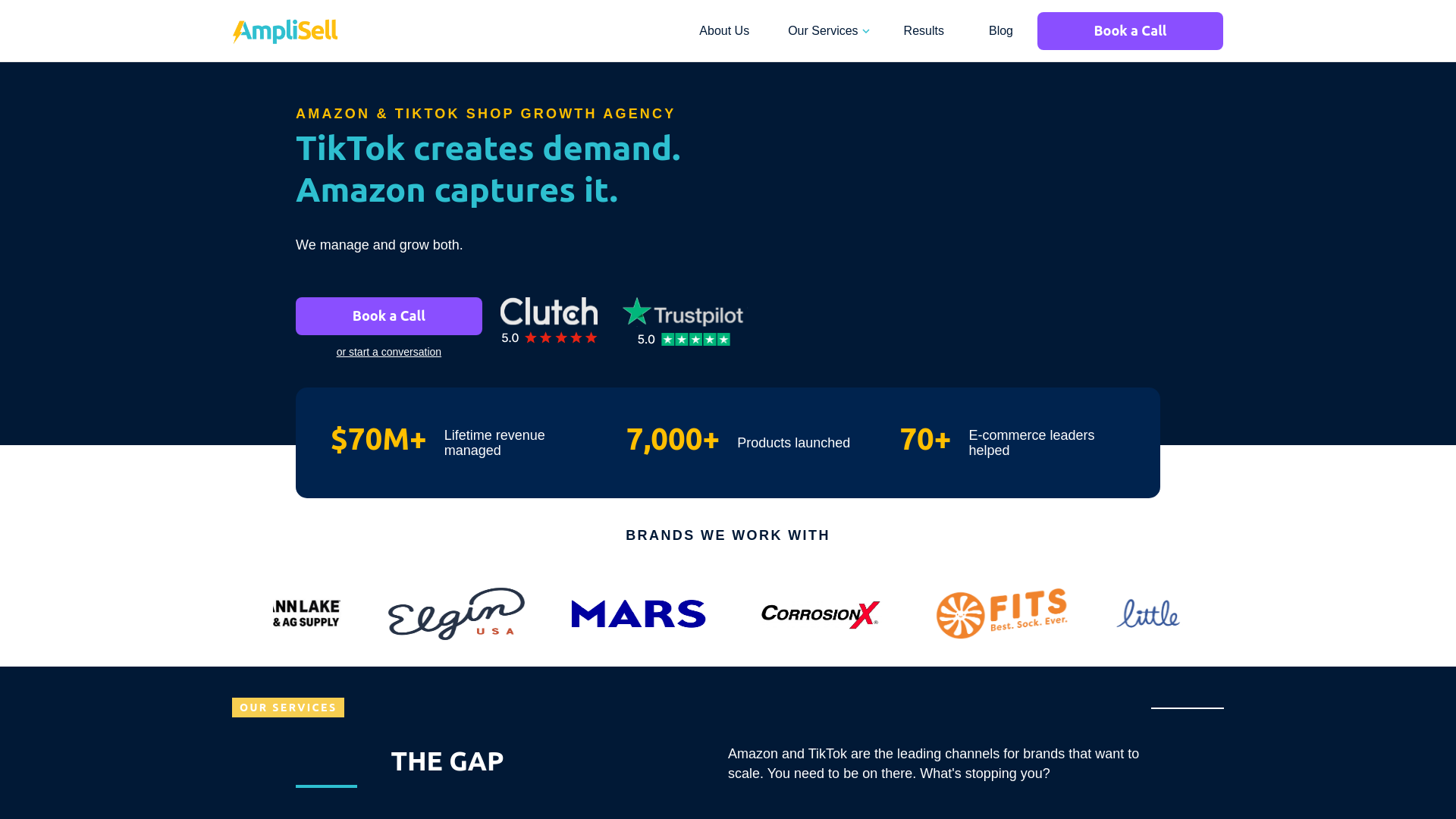 website screenshot of https://checkoutlab.info/