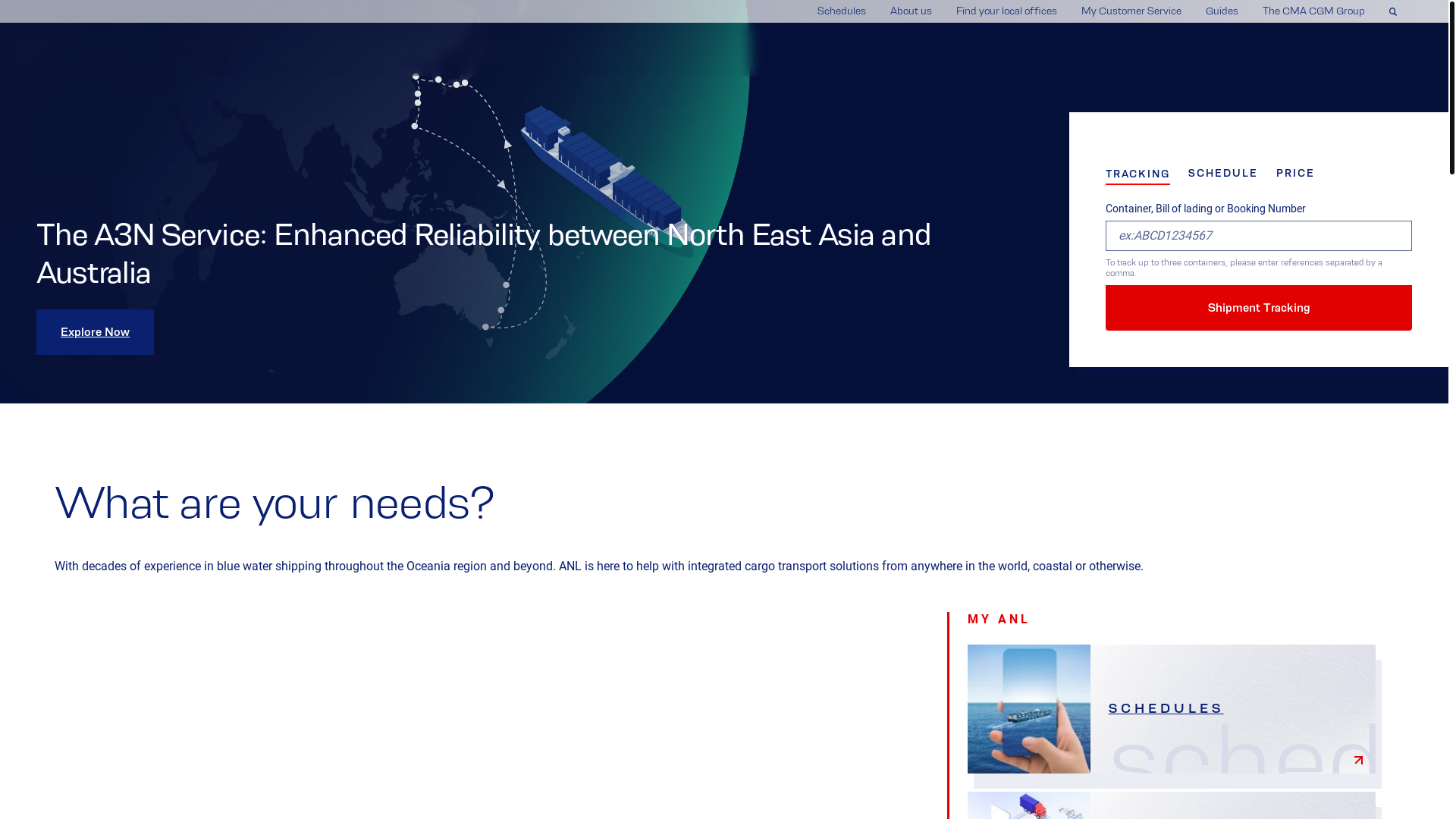 website screenshot of https://anl-au.store/