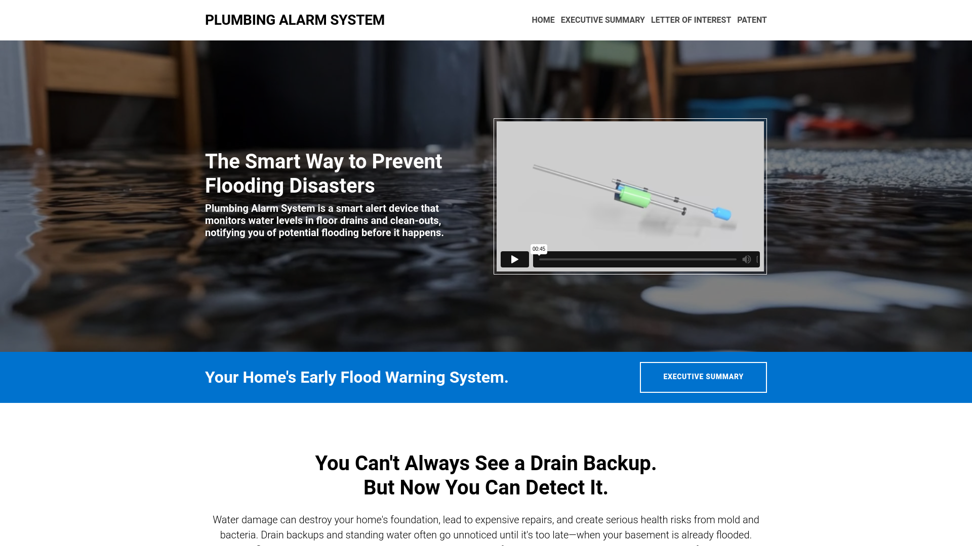 website screenshot of https://2ilp.com/plumbing-alarm-system/