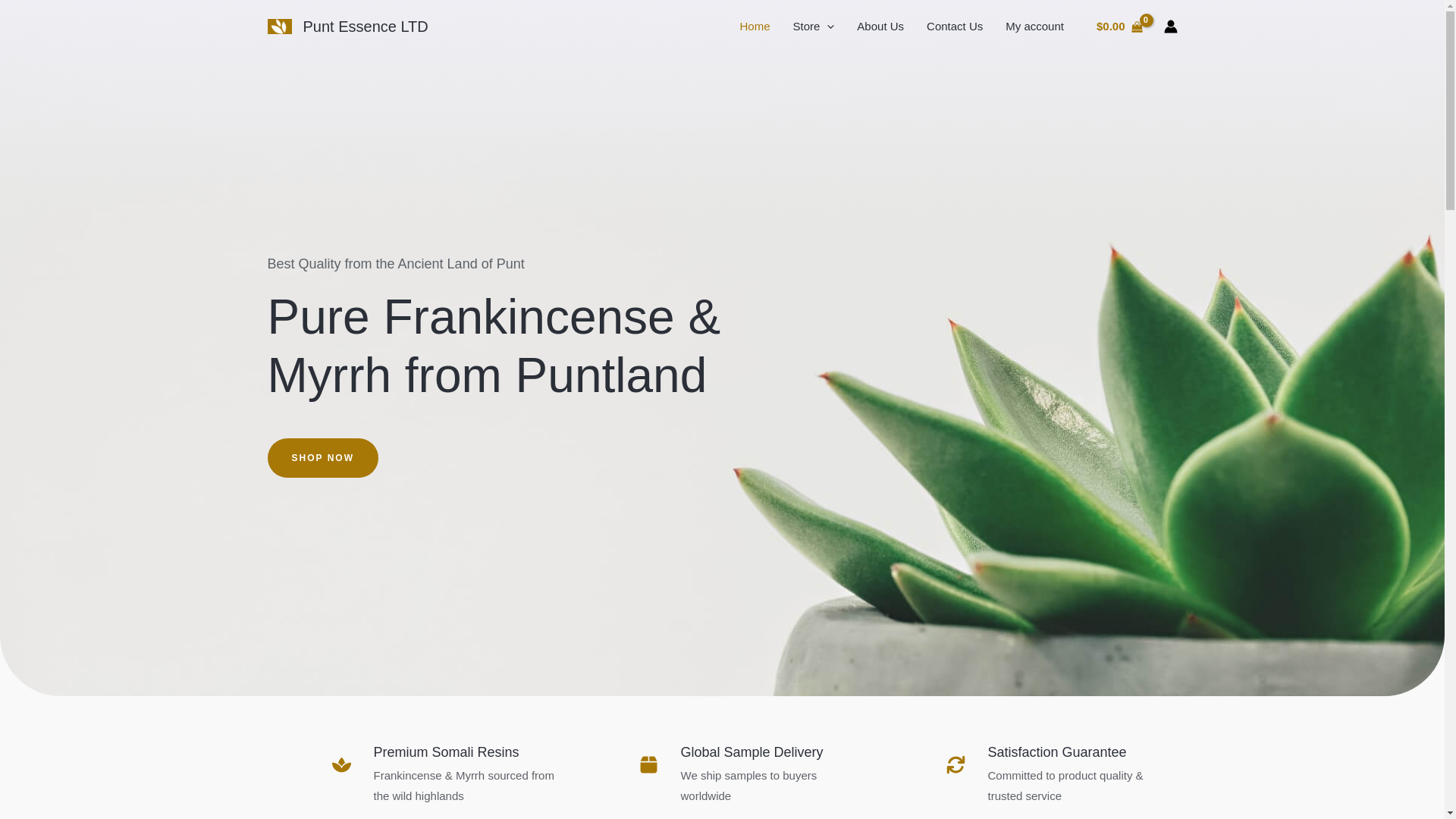 website screenshot of https://puntessence.com/