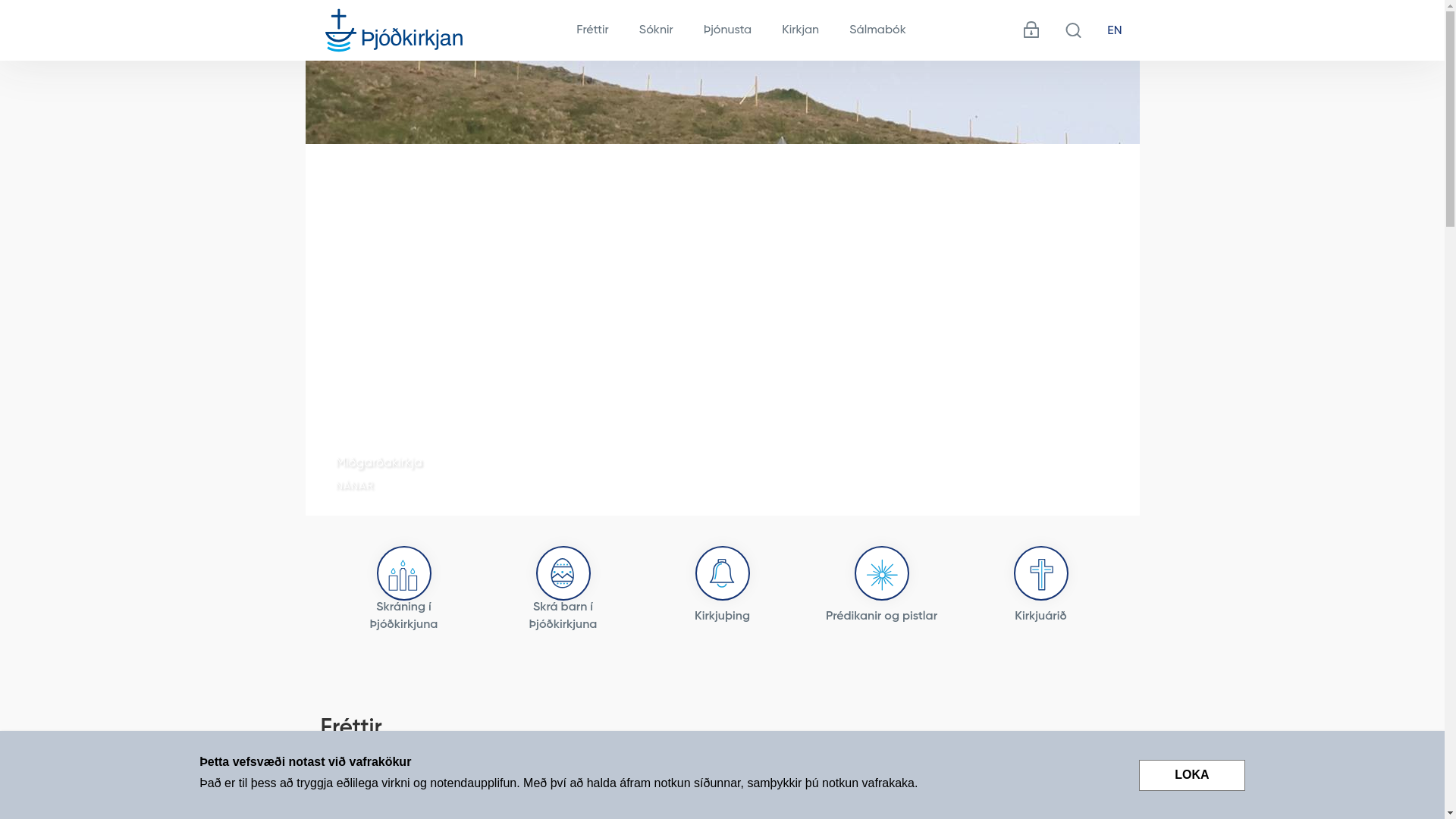 website screenshot of https://kirkjan.is/