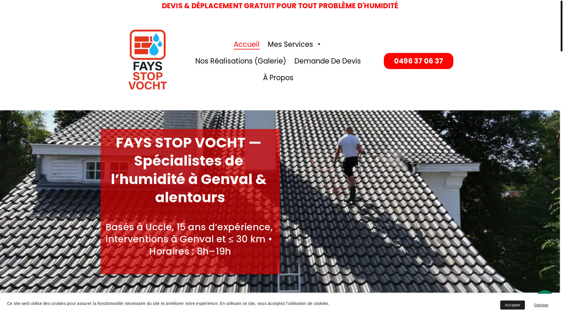 website screenshot of https://faysstopvocht.be/