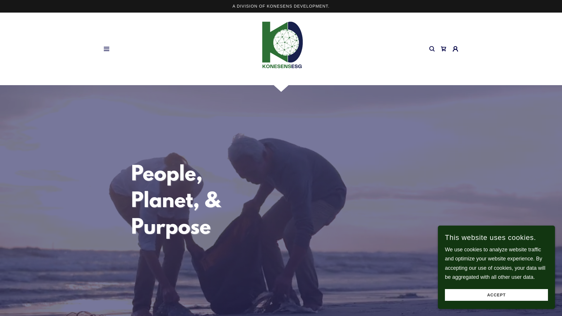 website screenshot of https://konesensreporting.pro/