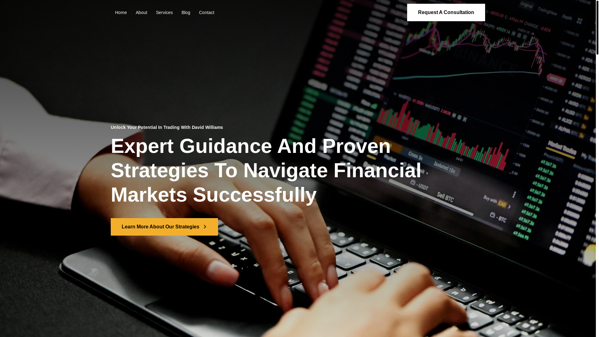 website screenshot of https://ttsellerpro.com/