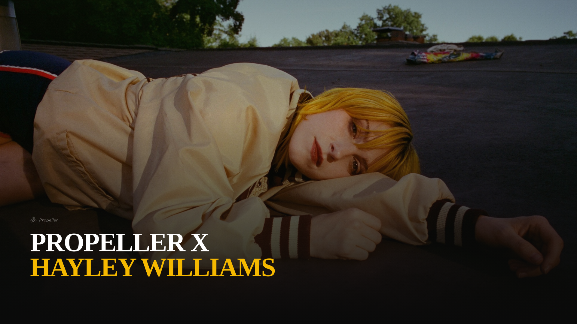 website screenshot of https://hwproptac.pages.dev/