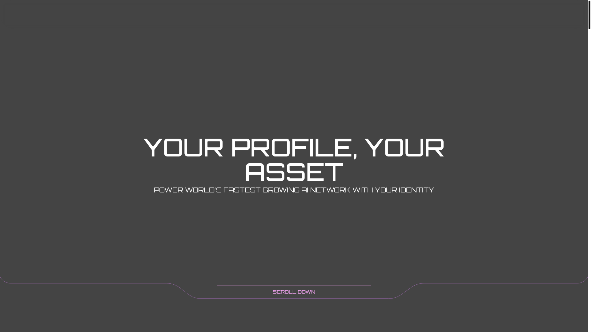 website screenshot of https://darkwhale.pro/